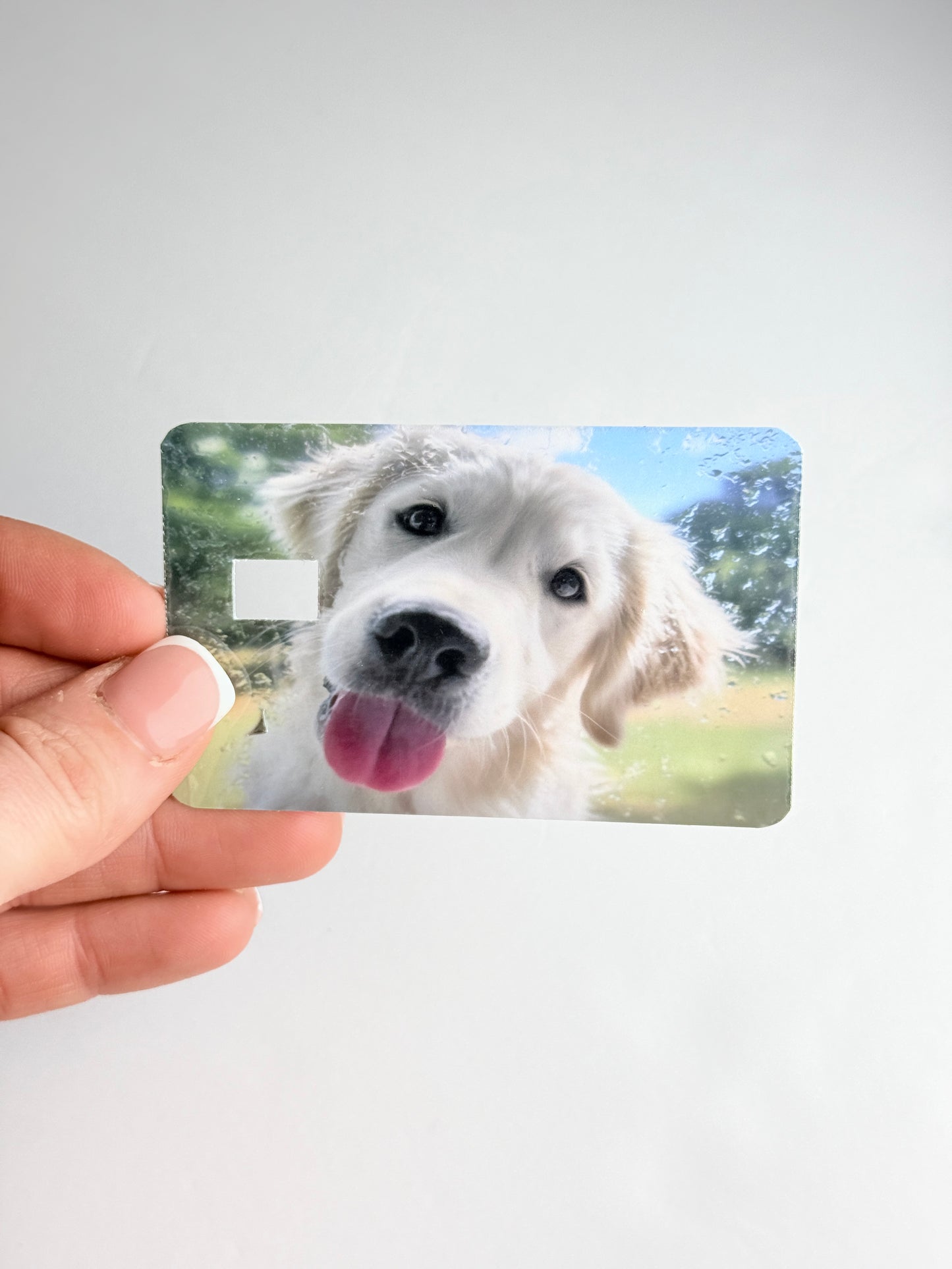 Funny gift for dog lovers and golden retriever owners, cute meme card decoration.