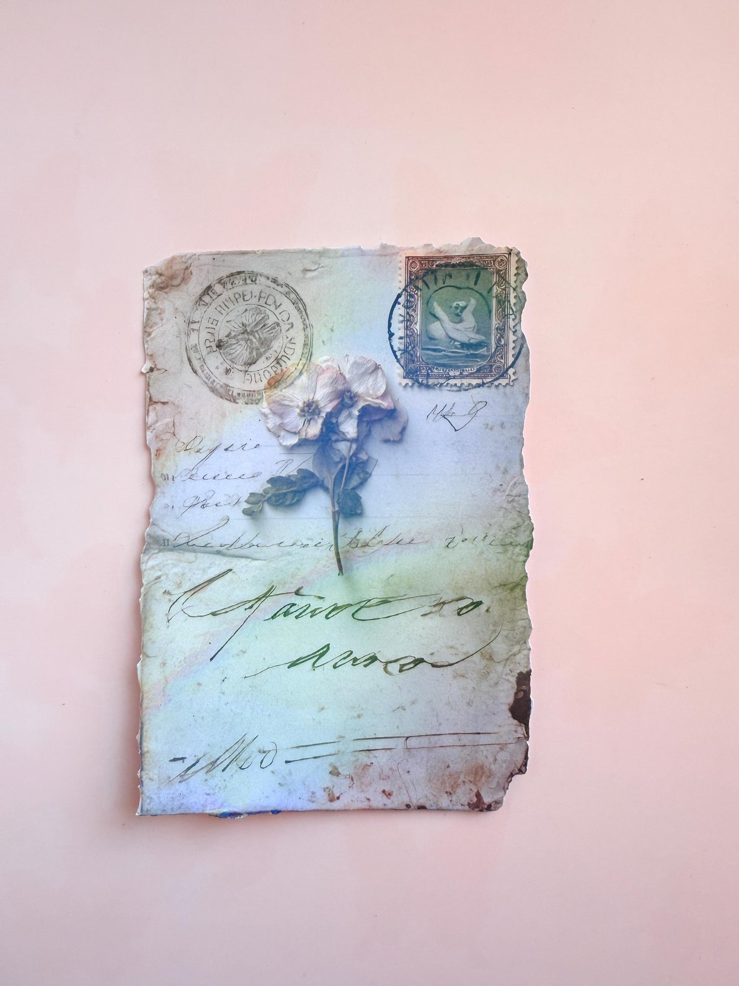 Vintage Letter Kindle Insert Skin - Aesthetic E-Reader Decal - Old Paper & Flower Design - Matte or Shimmer Finish - Unique Book Lover Gift - The Sticker Era