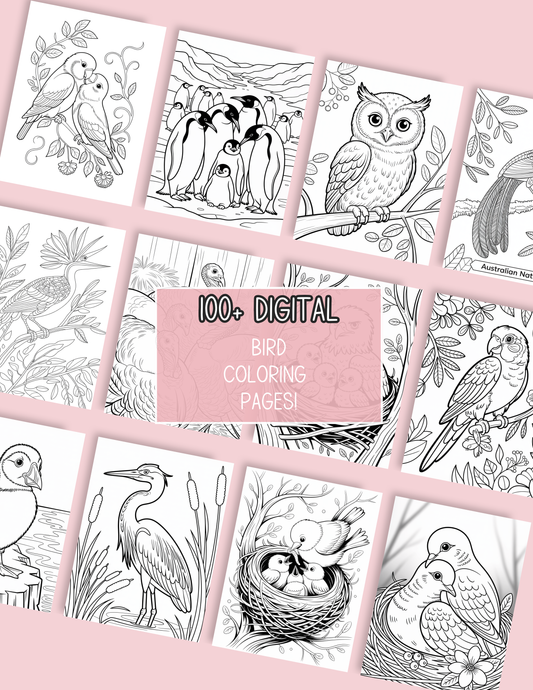 Bird Digital Coloring Book | 112-Page All Kinds of Birds Printable | Adult Nature Inspired Stress Relief Art | Instant Download 8.5x11 Activity - The Sticker Era