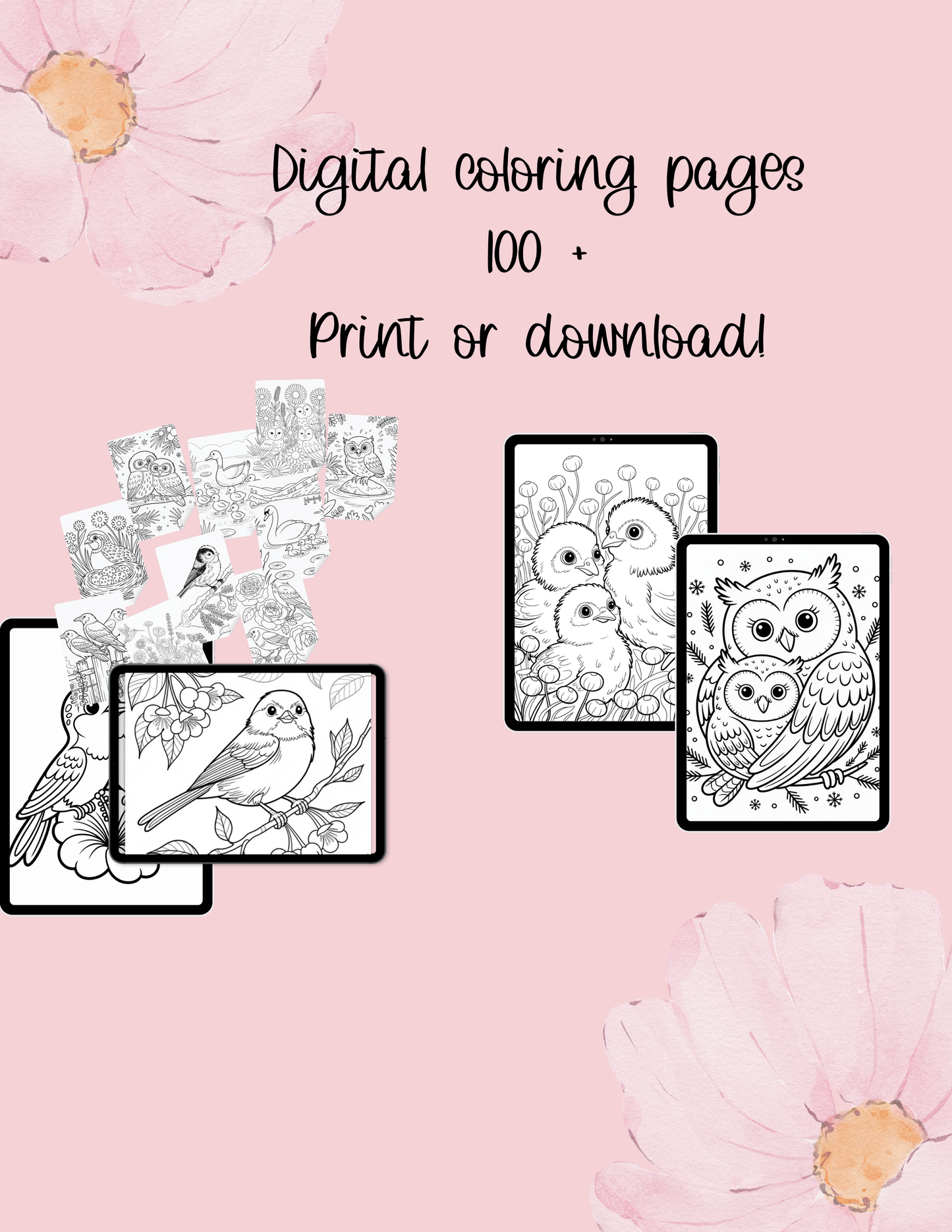 Bird Digital Coloring Book | 112-Page All Kinds of Birds Printable | Adult Nature Inspired Stress Relief Art | Instant Download 8.5x11 Activity - The Sticker Era