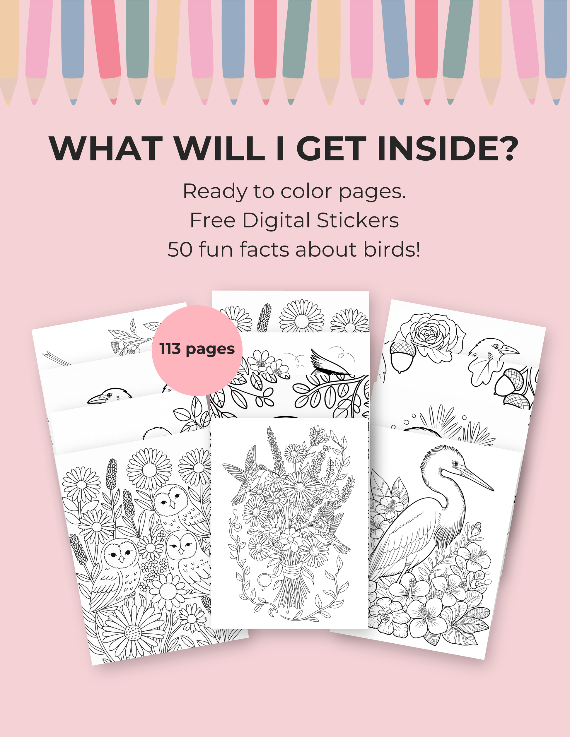 Bird Digital Coloring Book | 112-Page All Kinds of Birds Printable | Adult Nature Inspired Stress Relief Art | Instant Download 8.5x11 Activity - The Sticker Era