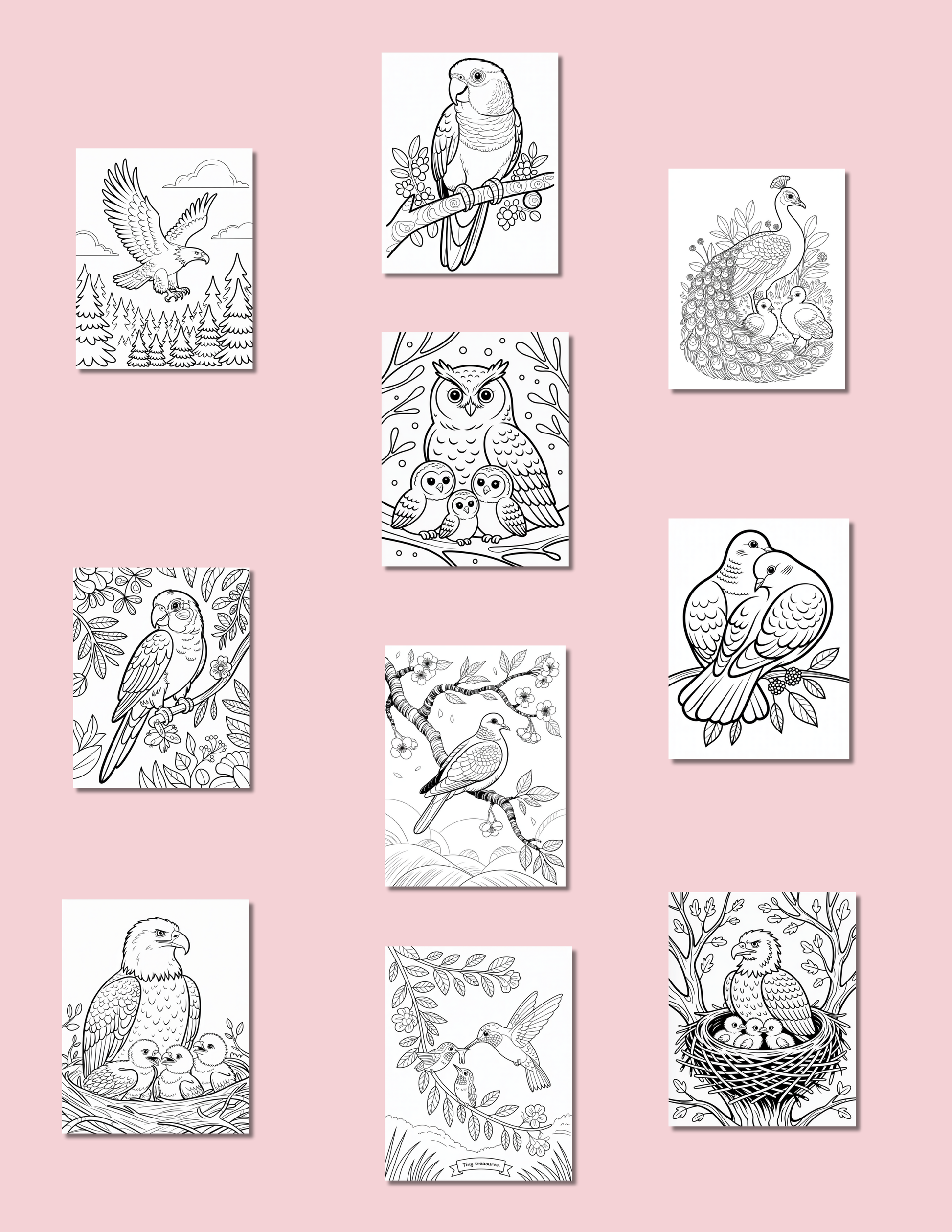 Bird Digital Coloring Book | 112-Page All Kinds of Birds Printable | Adult Nature Inspired Stress Relief Art | Instant Download 8.5x11 Activity - The Sticker Era