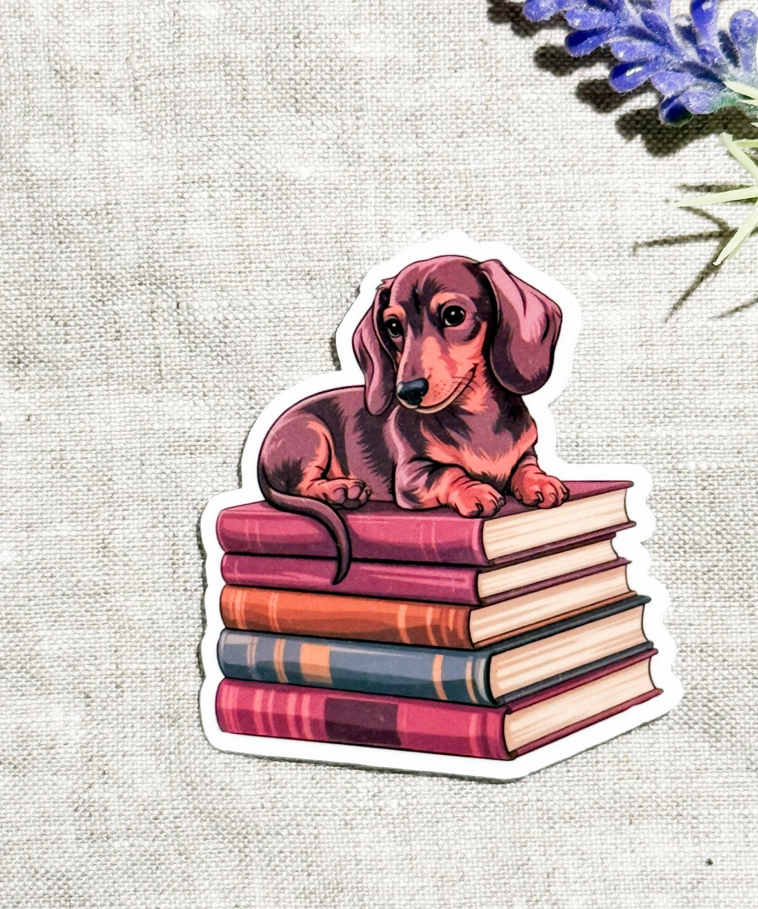 Dachshund on Books Sticker | Cute Bookish Dog Vinyl Decal by The Sticker Era