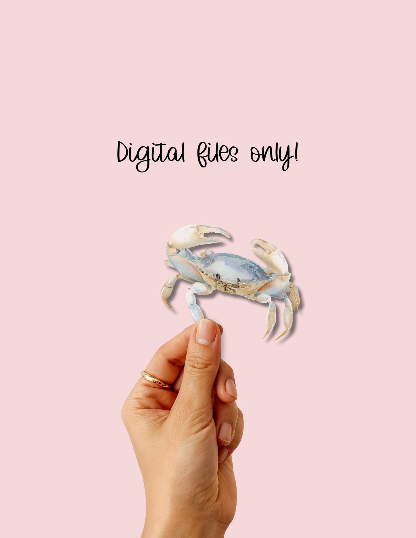 Beach Digital Stickers: Watercolor Ocean Life Planner, GoodNotes (PNG & PDF Bundle) __etsy:6979004334