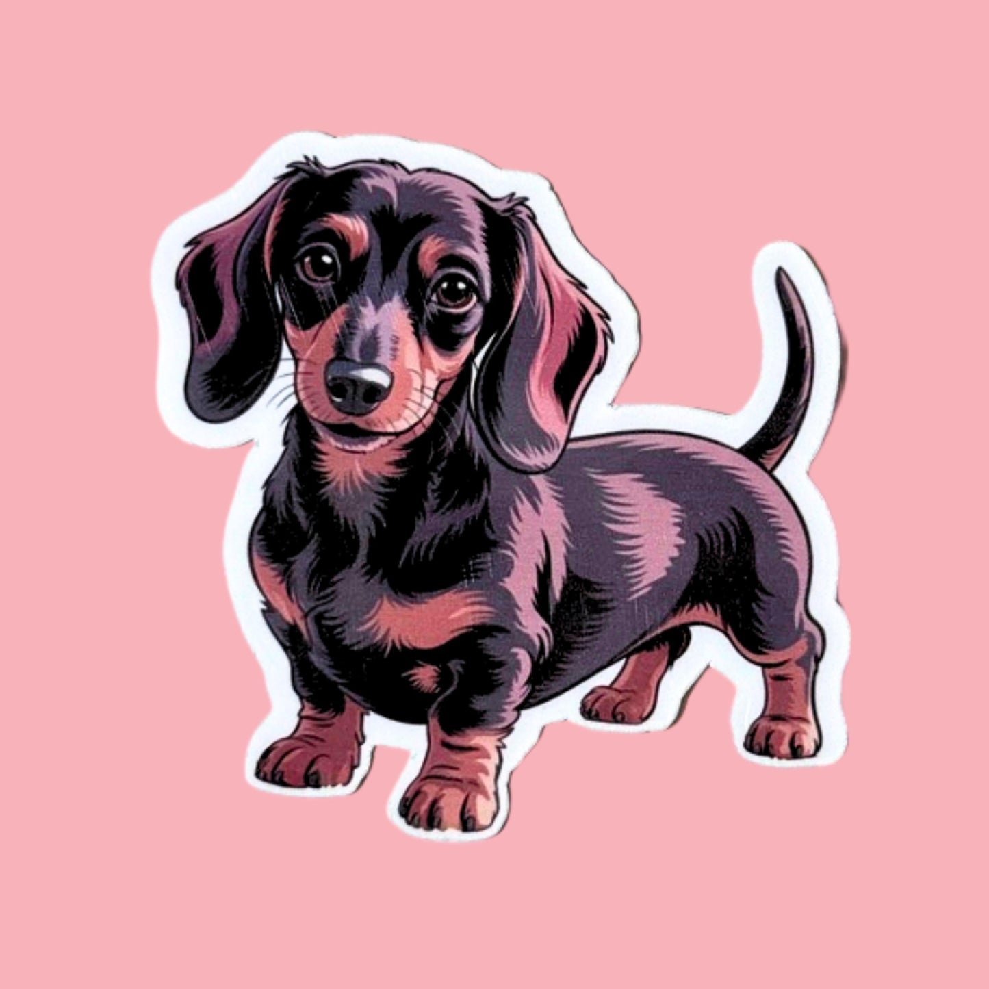 Dog Sticker Bundle – Corgi & Dachshund Bookish Vinyl Set of 3 __etsy:7781474845
