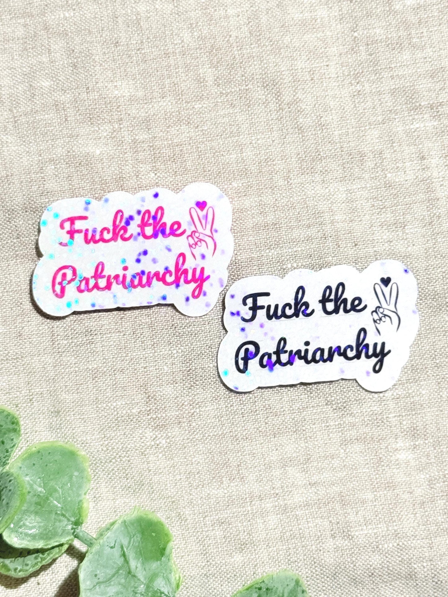 Feminist Vinyl Sticker: Weatherproof Laptop Decal __etsy:8109776228