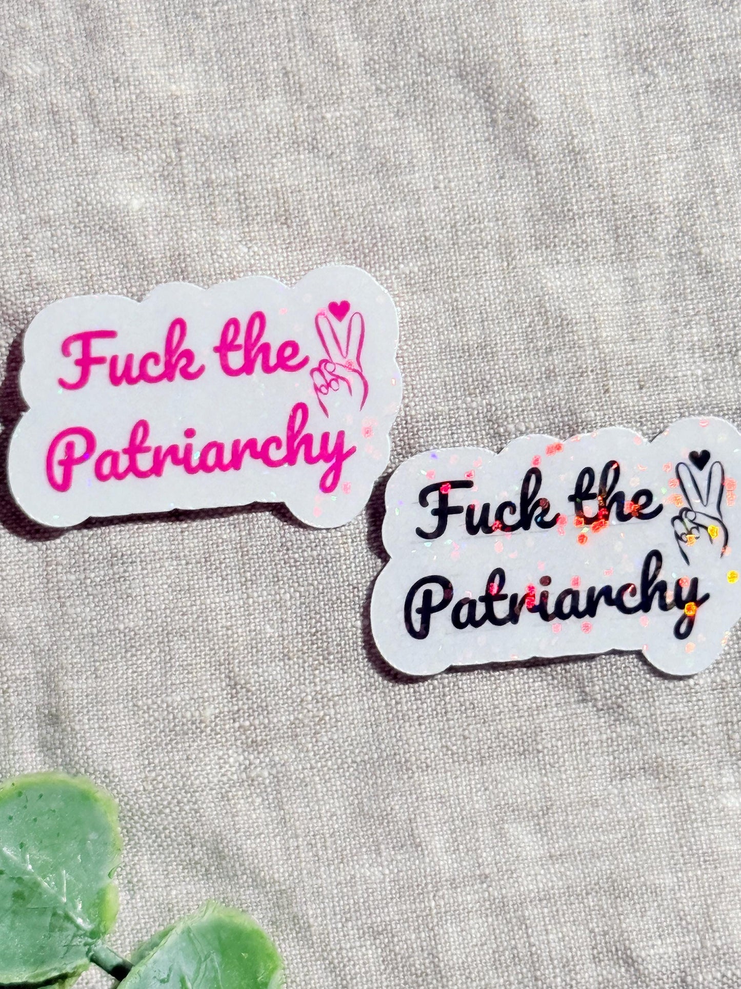 Feminist Vinyl Sticker: Weatherproof Laptop Decal __etsy:8157680715