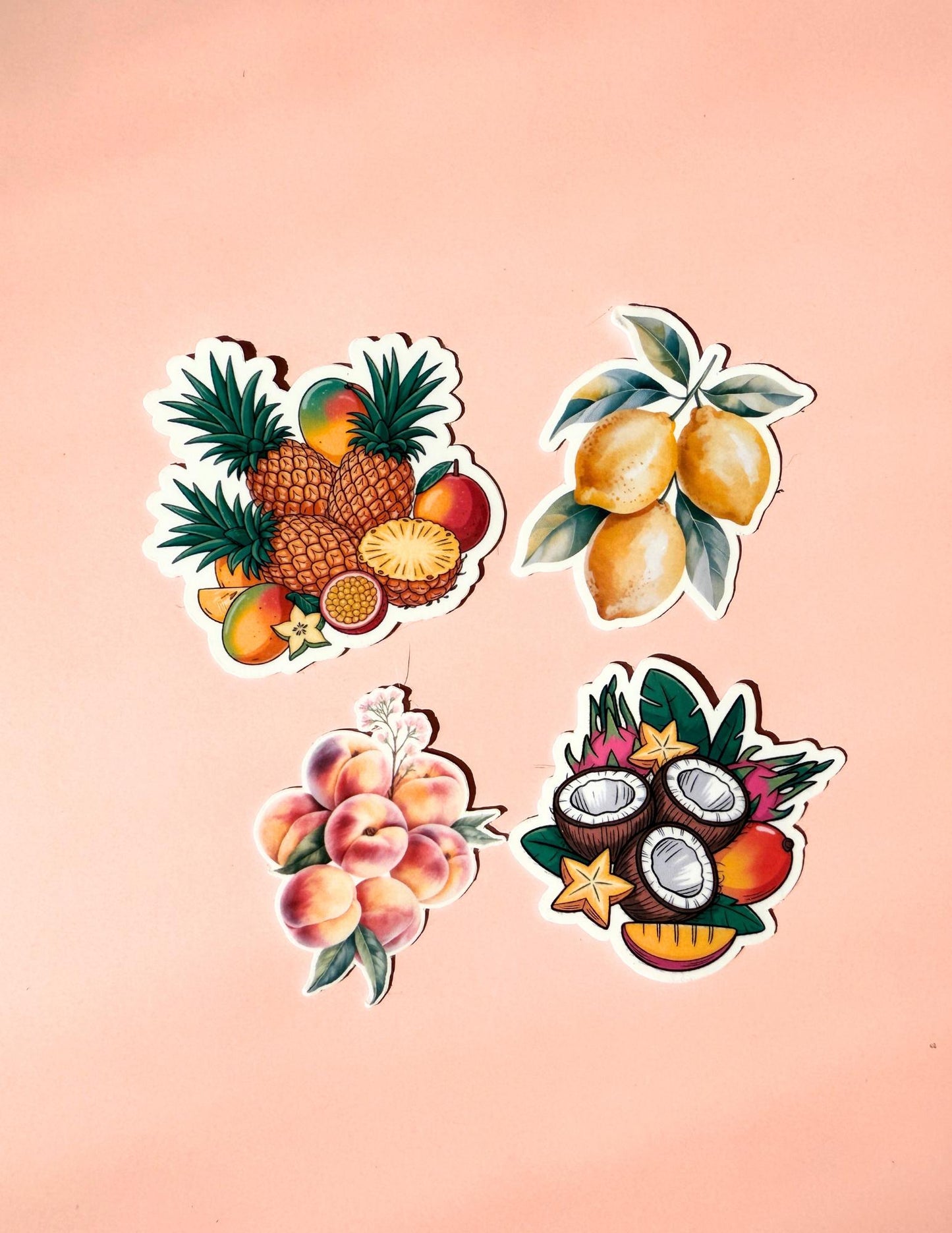A vibrant fruit sticker bundle featuring 13 colorful vinyl stickers including strawberries, cherries, peaches, pineapples, and citrus fruits with fun puns. Each sticker has a glossy finish and is perfect for decorating water bottles, laptops, journals, and planners. Displayed on a white background for a clean, eye-catching presentation." __etsy:6868925072