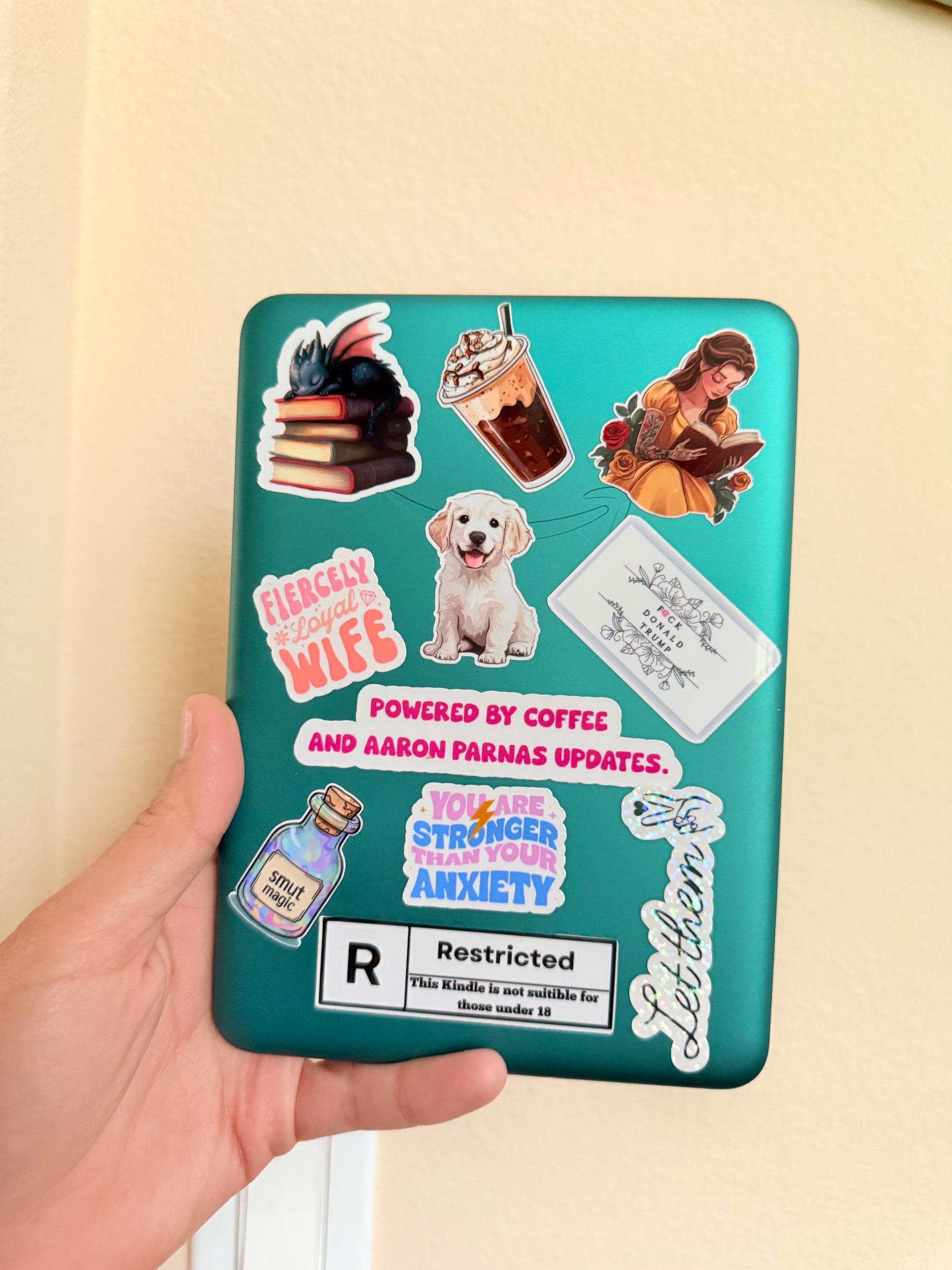 Hilarious Smut Book Sticker – Funny Vinyl Decal for Romantasy Fans & Journals __etsy:6793555494