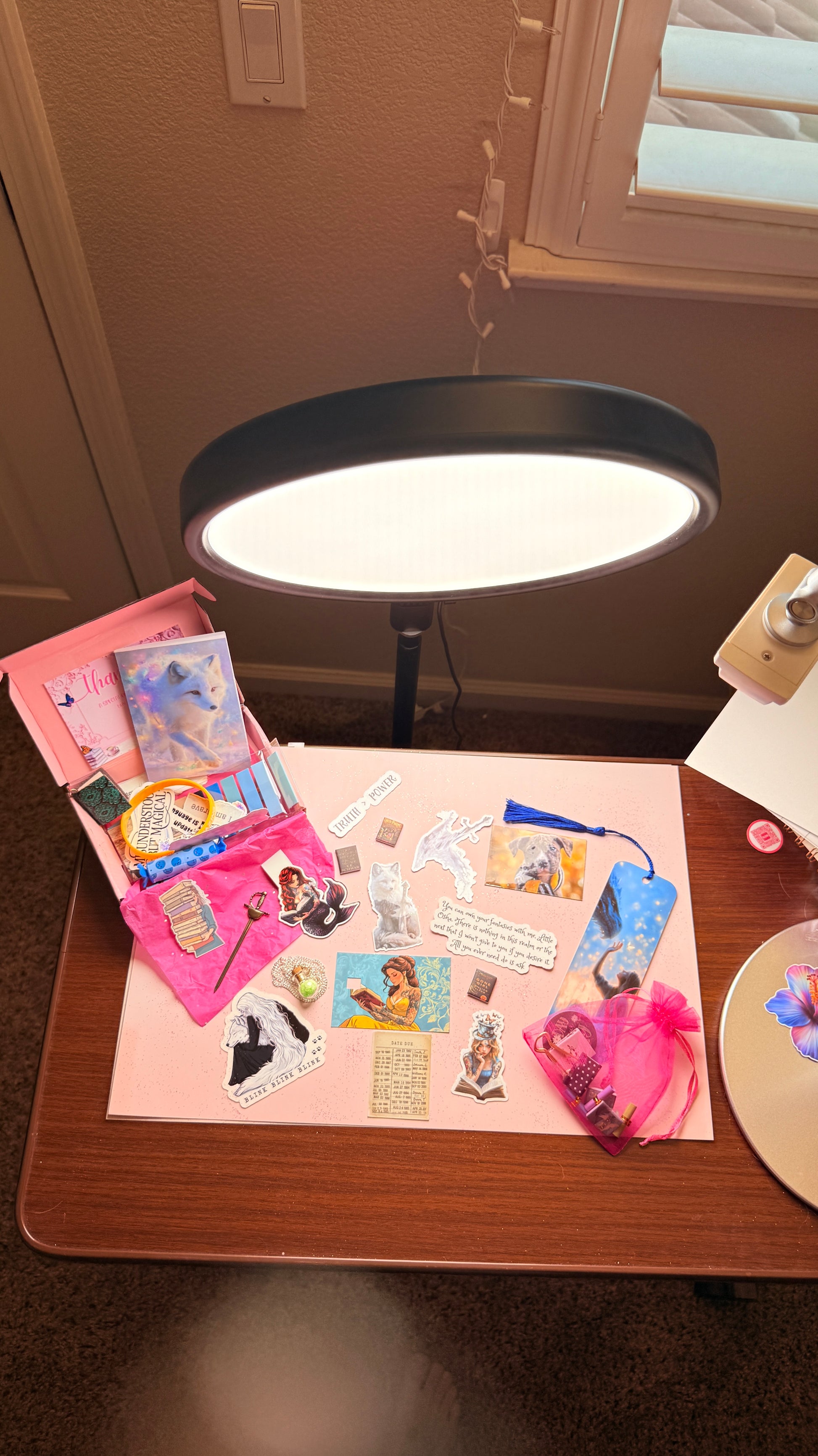 Perfect surprise gift for book lovers, curated mystery box filled with stickers and accessories
