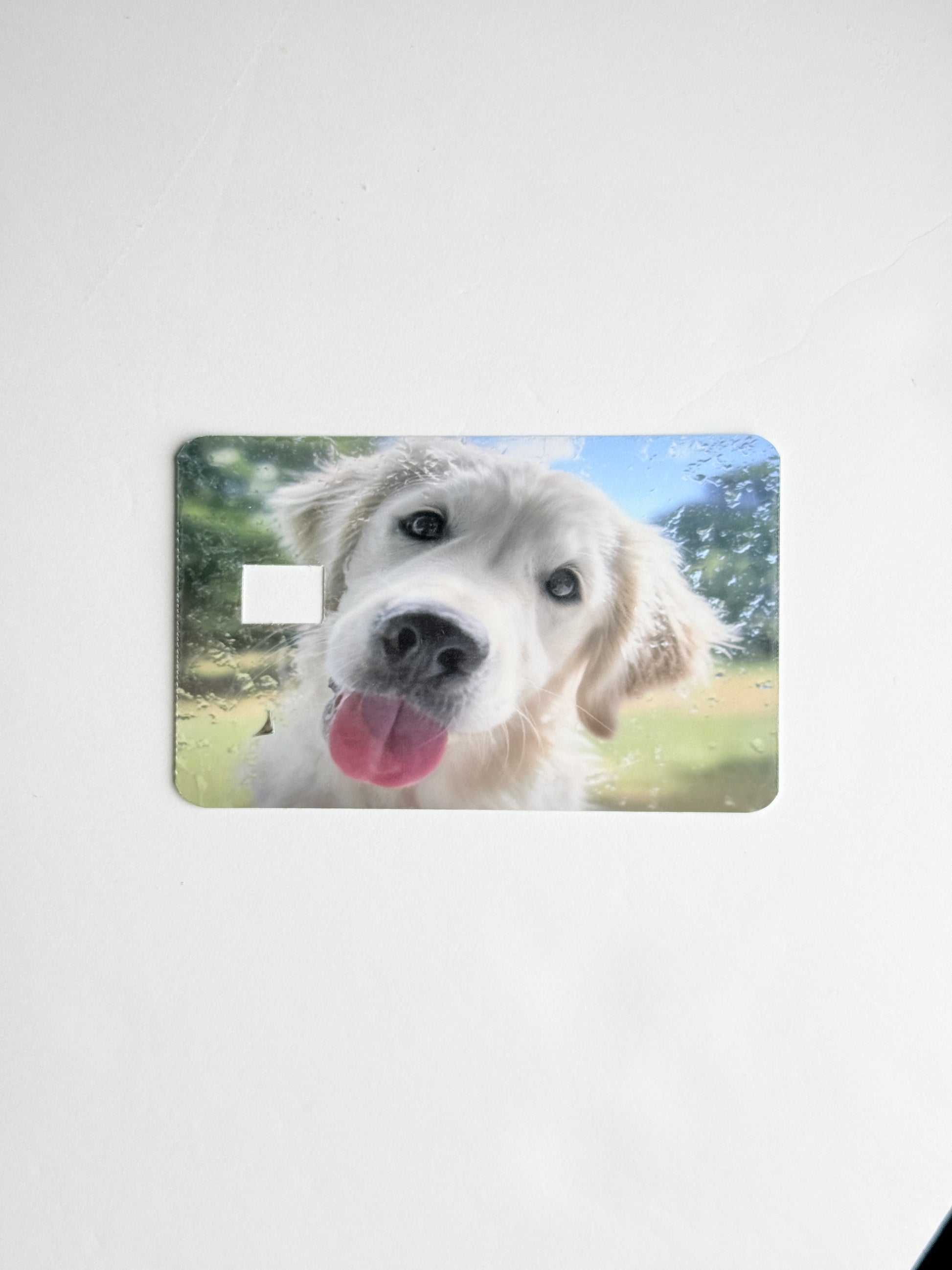 Golden retriever licking glass debit card skin sticker, funny dog meme decal for credit cards.