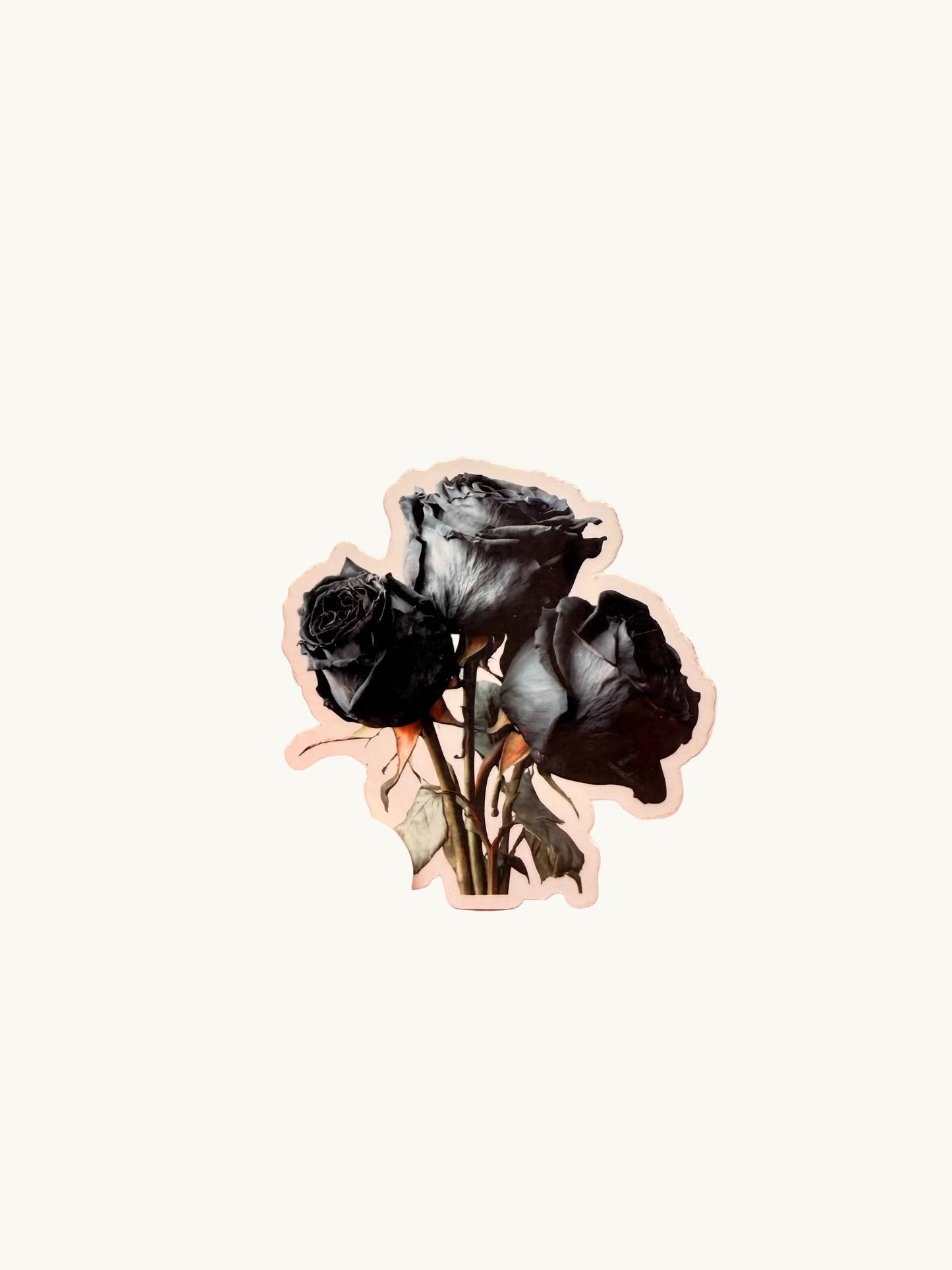 Alchemised Sticker Pack | 8 Bookish Dark Romance Vinyl Stickers