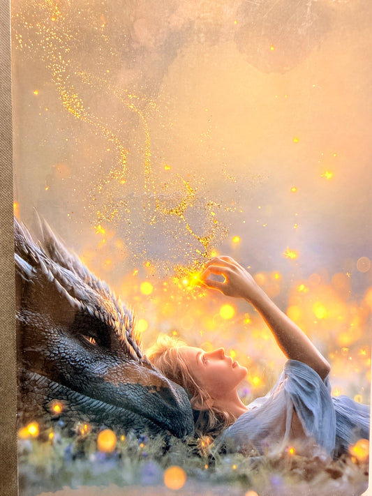 Dragon & Dreamlight | notebook
