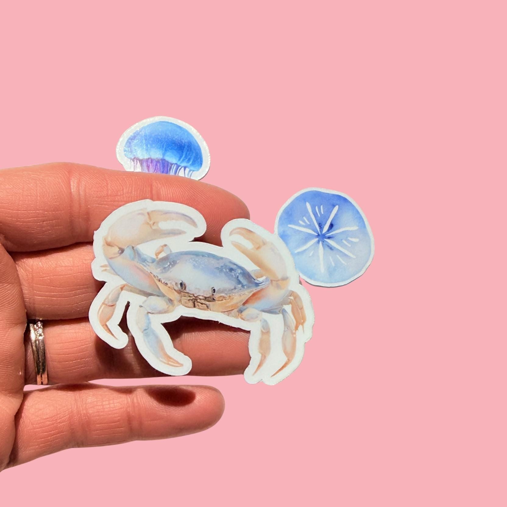 Ocean Sticker Pack – Pick Your Design, Watercolor Sea Vinyl Decals for Water Bottle & Kindle __etsy:8038755111