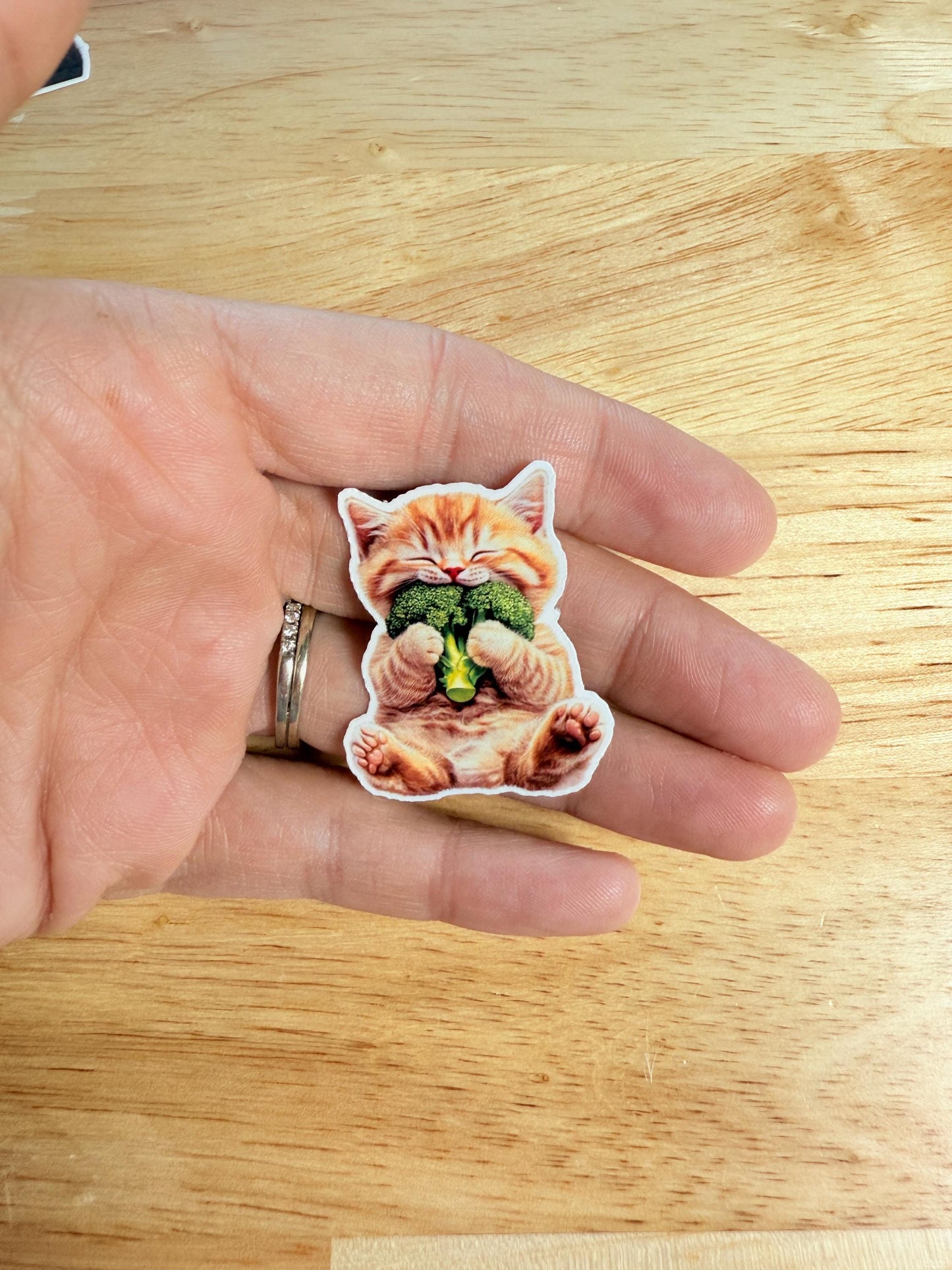 Onyx Cat Eating Broccoli Sticker - Fourth Wing Inspired Vinyl Decal __etsy:6816917175