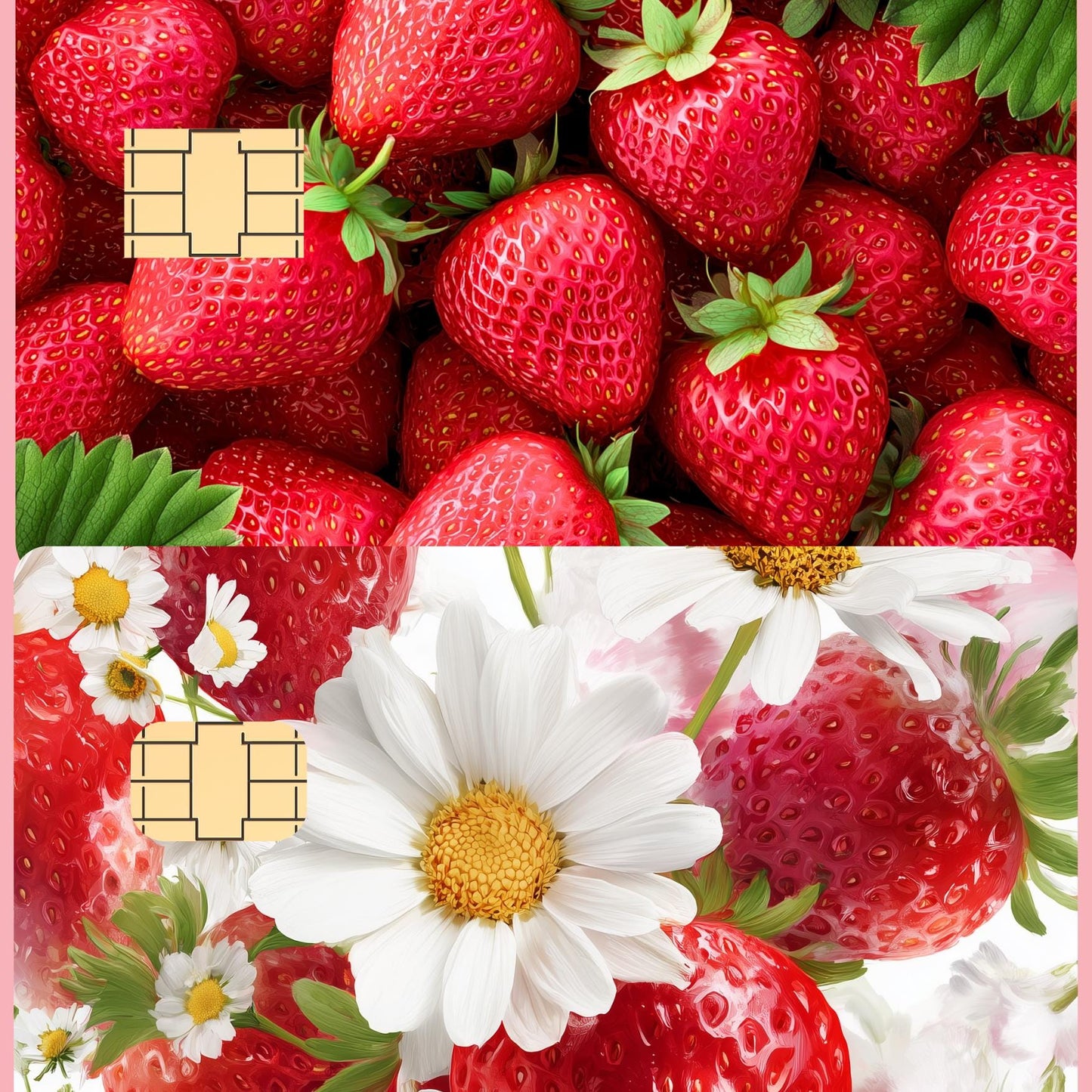 Strawberry & Daisy Collection Bundle — Stickers | Kindle Insert | Card Skins __etsy:7807850575