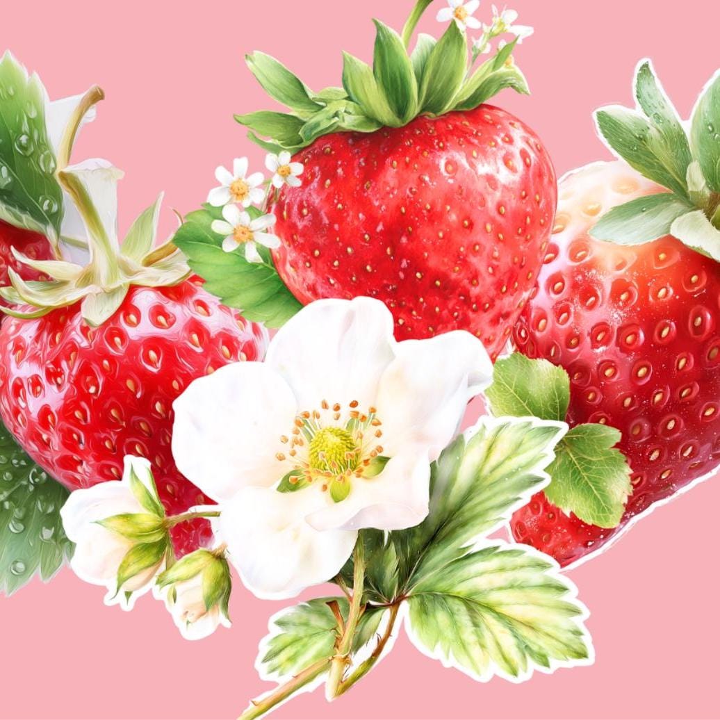 Strawberry vinyl sticker pack with three berry stickers and one strawberry blossom waterproof decal on black background __etsy:7807797123