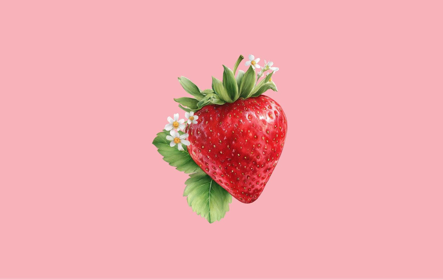 Strawberry with white blossoms sticker showing die-cut detail __etsy:7807791983