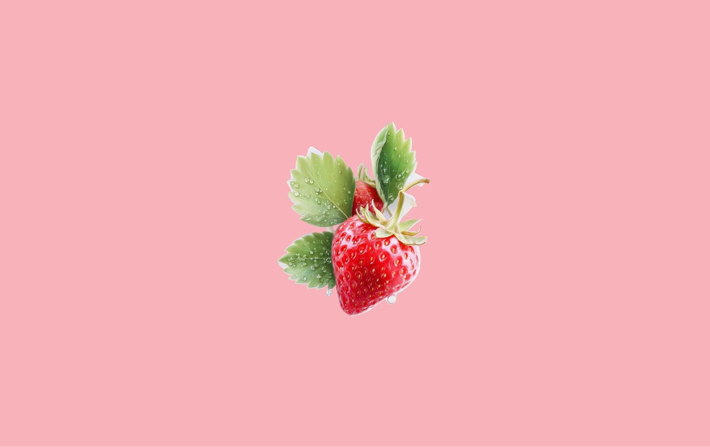 Strawberry Vinyl Sticker Pack — Waterproof Berry & Blossom Decals __etsy:7807791973