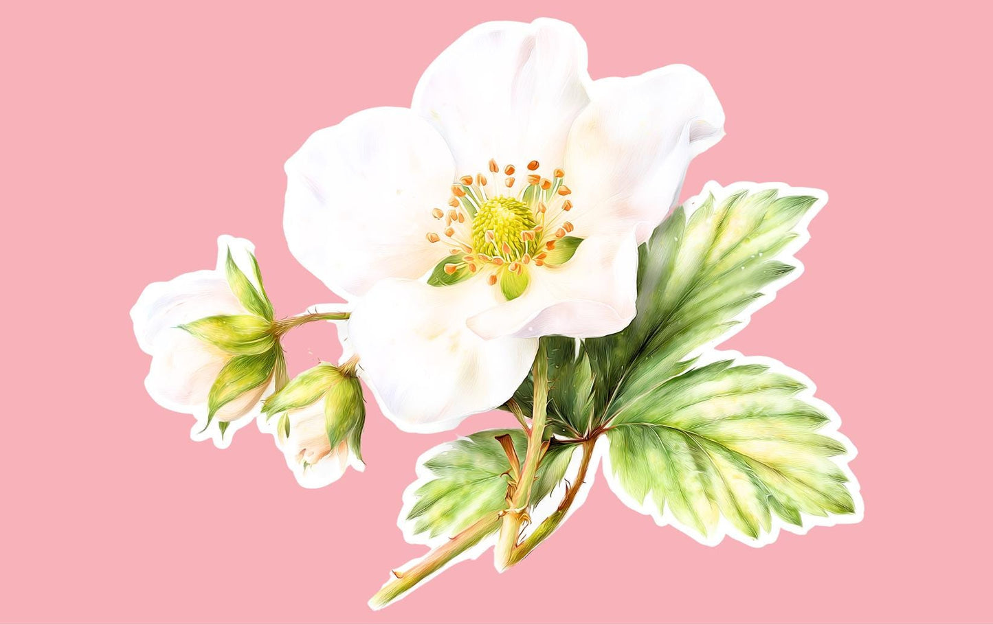 Strawberry Vinyl Sticker Pack — Waterproof Berry & Blossom Decals __etsy:7759844864