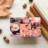 Blush Autumn Collage Card Skin – Soft Fall Photo Grid Debit & Credit Card Sticker by The Sticker Era
