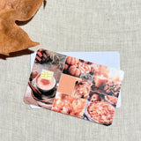 Two blush autumn collage card skins stacked to show the standard and sparkle finishes