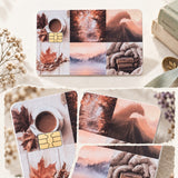 Collage of the fall vibes card skin with close-ups of the coffee, forest and lake panels by The Sticker Era