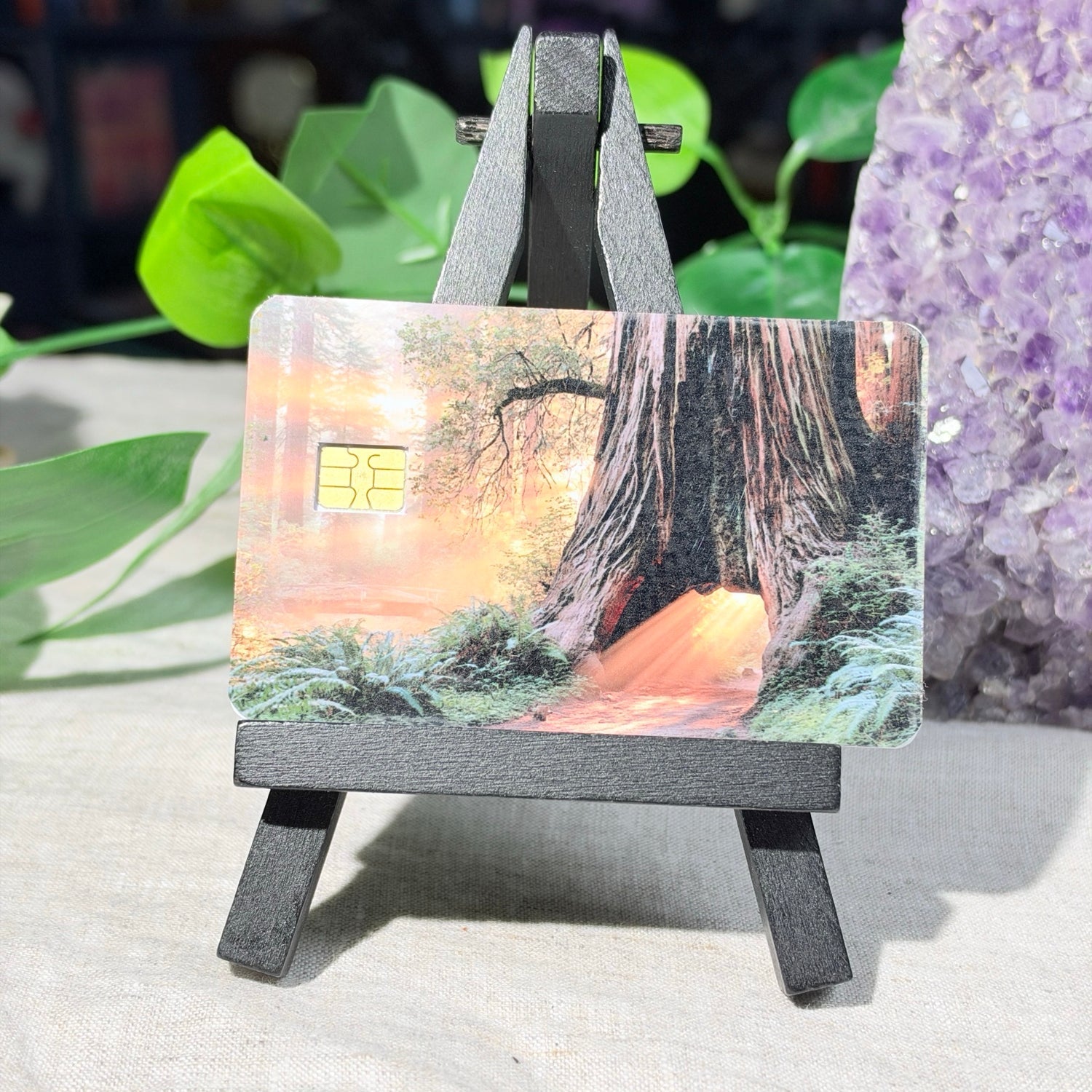 Golden Hour Redwood Card Skin – Glowing Forest Path Debit & Credit Card Sticker by The Sticker Era