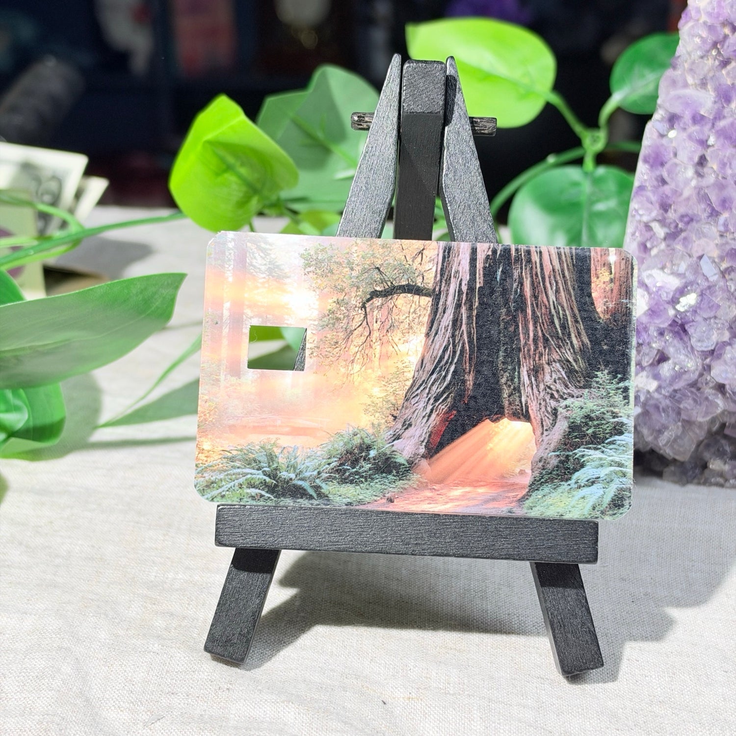 Golden Hour Redwood Card Skin – Glowing Forest Path Debit & Credit Card Sticker by The Sticker Era