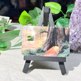 Golden Hour Redwood Card Skin – Glowing Forest Path Debit & Credit Card Sticker by The Sticker Era