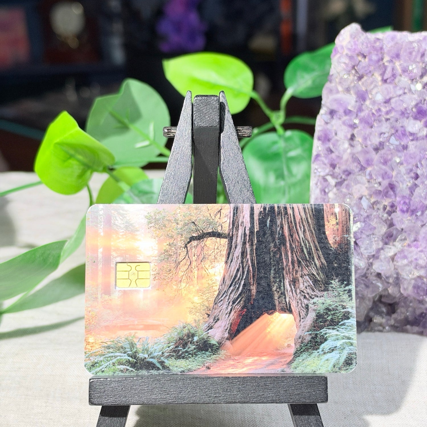 Golden Hour Redwood Card Skin – Glowing Forest Path Debit & Credit Card Sticker by The Sticker Era