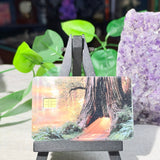Golden Hour Redwood Card Skin – Glowing Forest Path Debit & Credit Card Sticker by The Sticker Era
