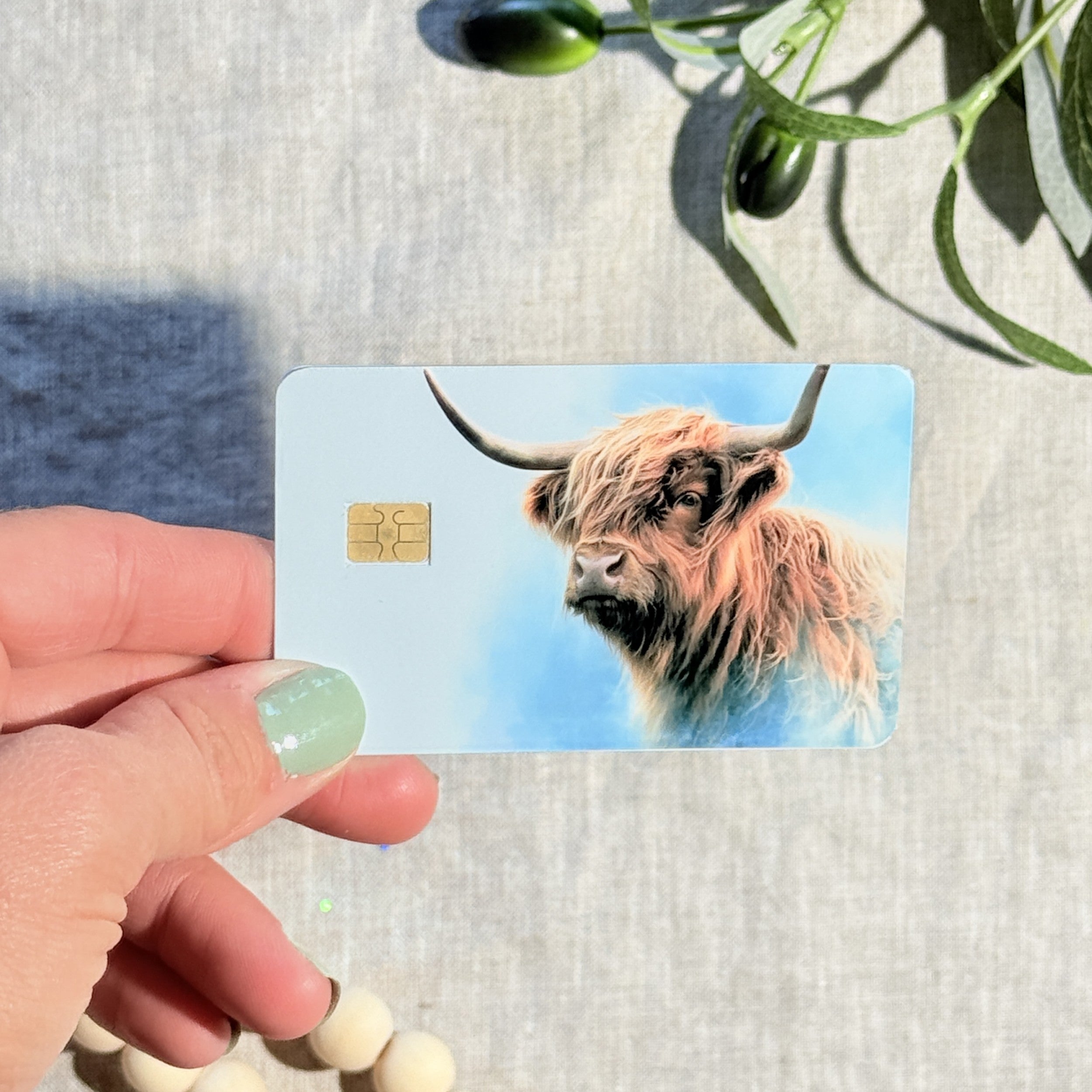 Highland cow card skin with fluffy Scottish cow on a sky blue debit card by The Sticker Era