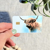 Hand holding the highland cow debit card skin in sunlight by The Sticker Era