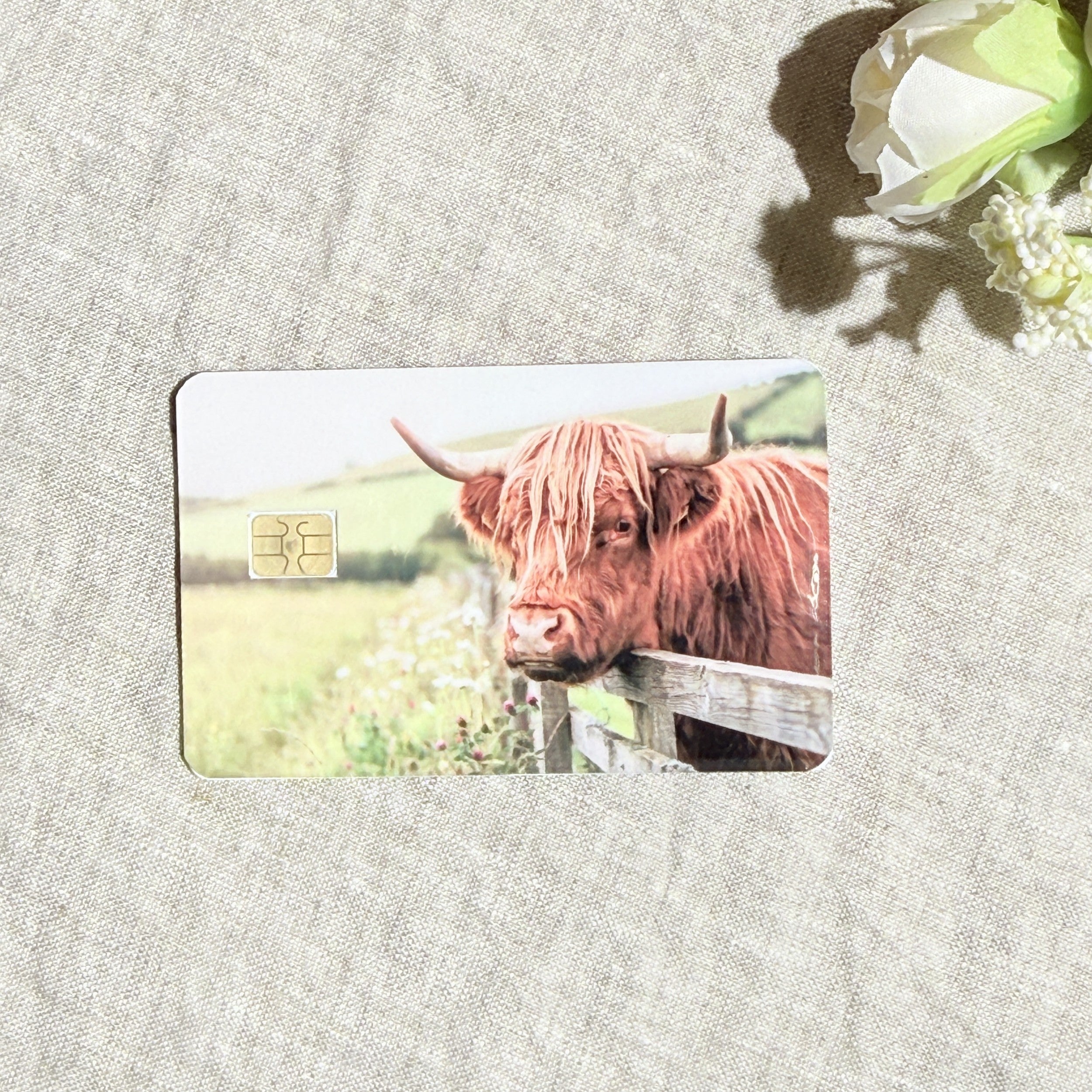 Highland cow meadow card skin with a fluffy cow leaning over a fence on a debit card by The Sticker Era