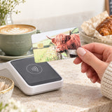 Highland cow card skin tapping a card reader at a coffee shop by The Sticker Era