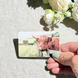 Hand holding the highland cow meadow debit card skin in sunlight by The Sticker Era