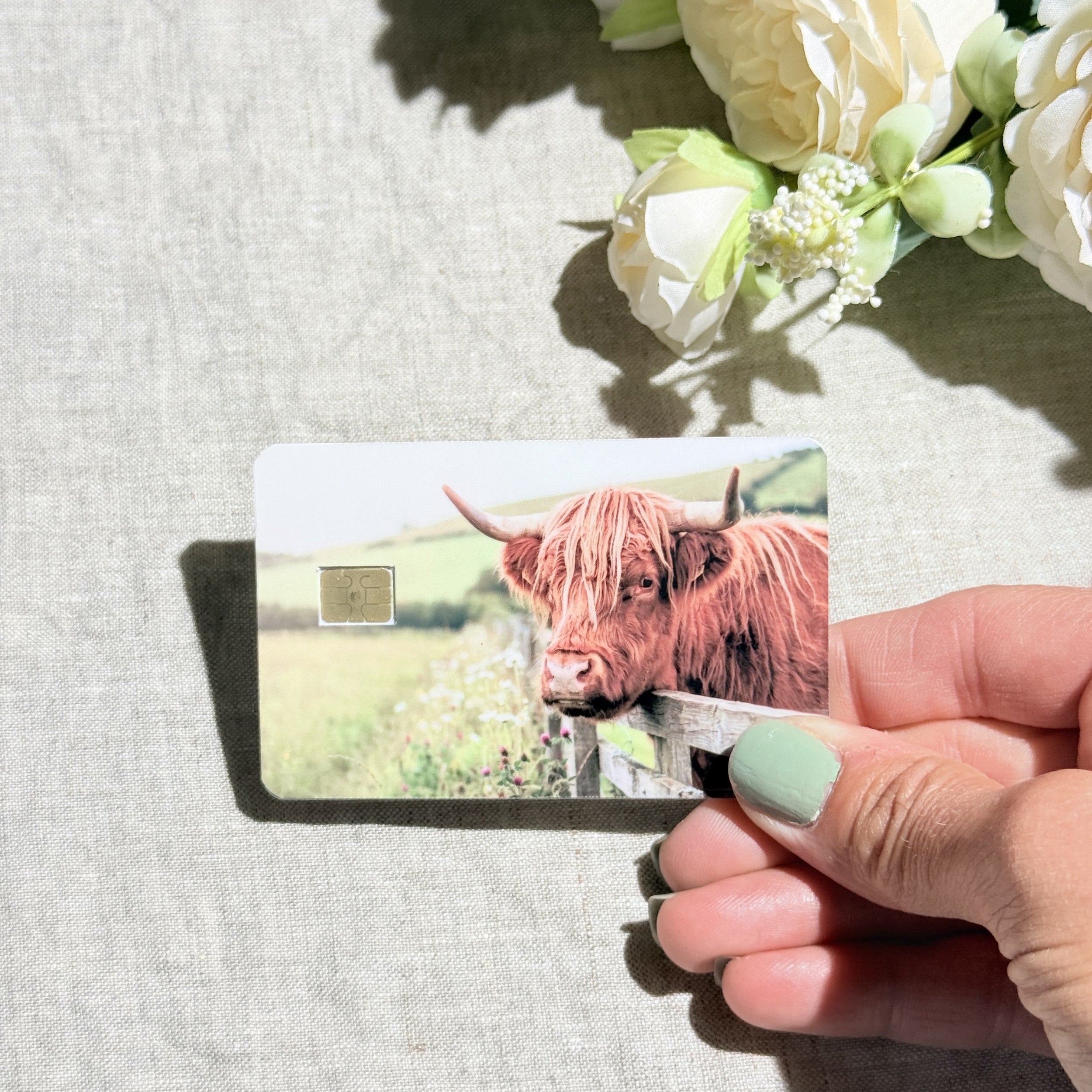 Hand holding the highland cow meadow debit card skin in sunlight by The Sticker Era