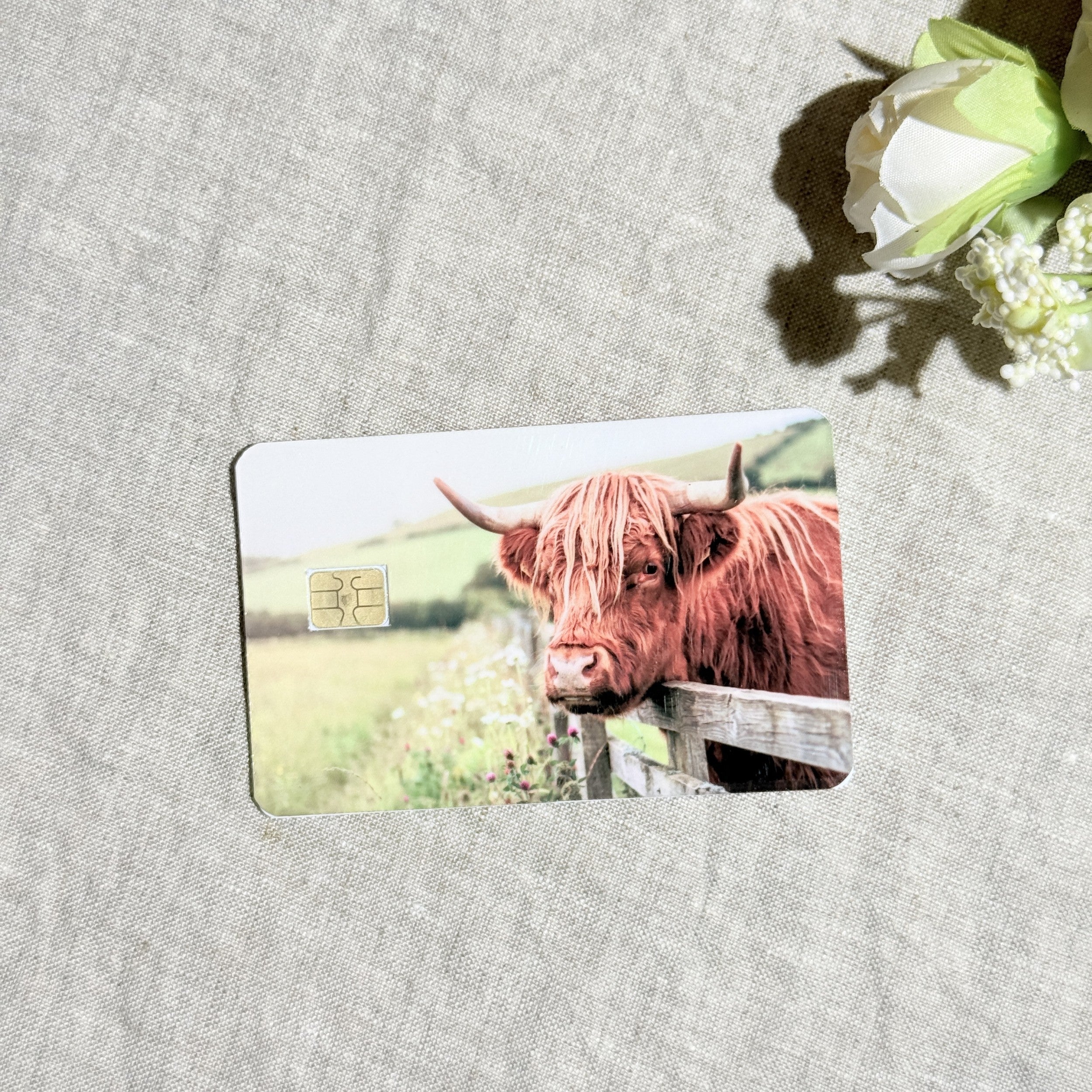 Highland cow at the fence card skin flat lay on cream linen by The Sticker Era