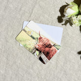 Highland cow meadow card skin stacked on a blank card showing chip cutout by The Sticker Era