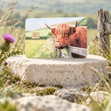 Highland cow meadow card skin propped on a stone in a wildflower field by The Sticker Era