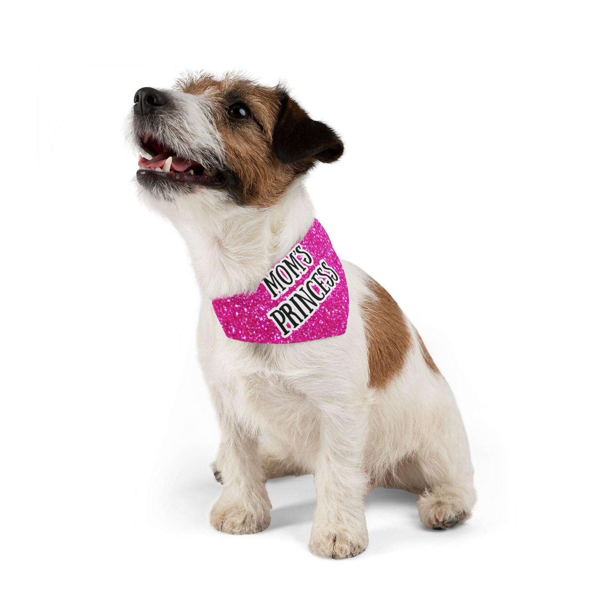 Sparkly Pet Bandana, Dog Clothes, Dog Accessory, Pet Gift, Holiday Fashion for Pets, Birthday Celebration - The Sticker Era