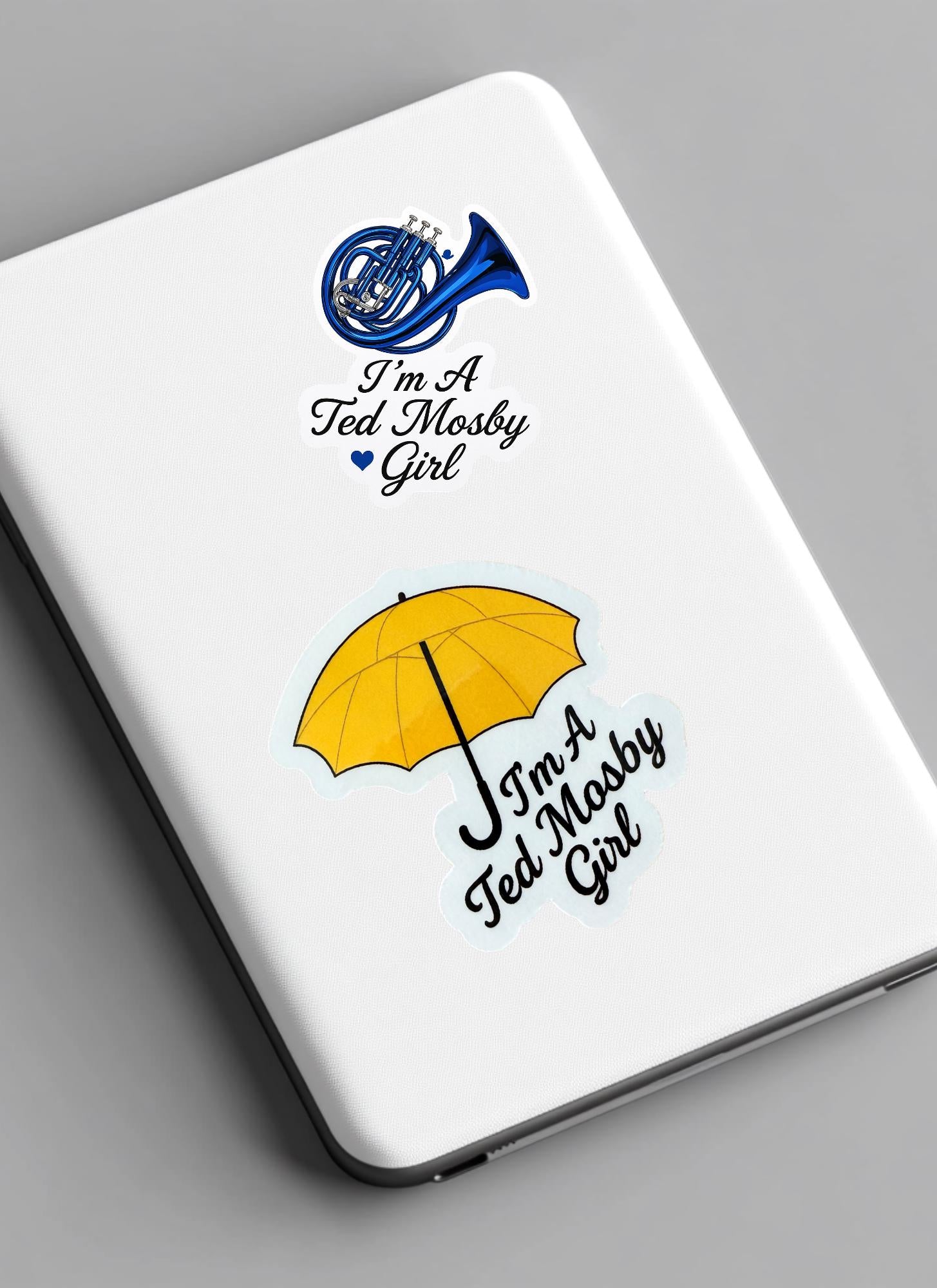 How I Met Your Mother fan vinyl sticker pack waterproof by The Sticker Era