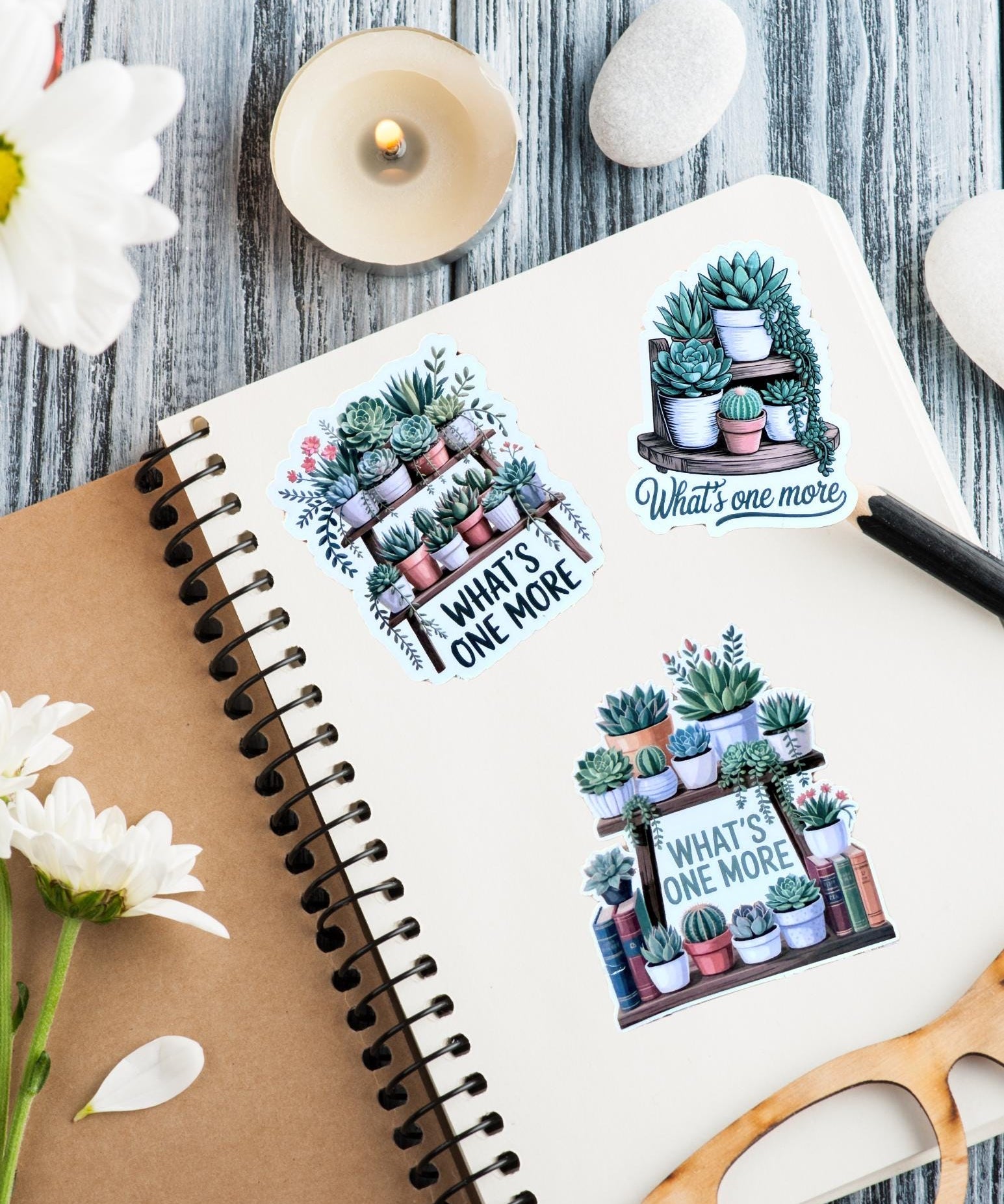 Succulent Sticker Pack – Cute Vinyl Decals by The Sticker Era