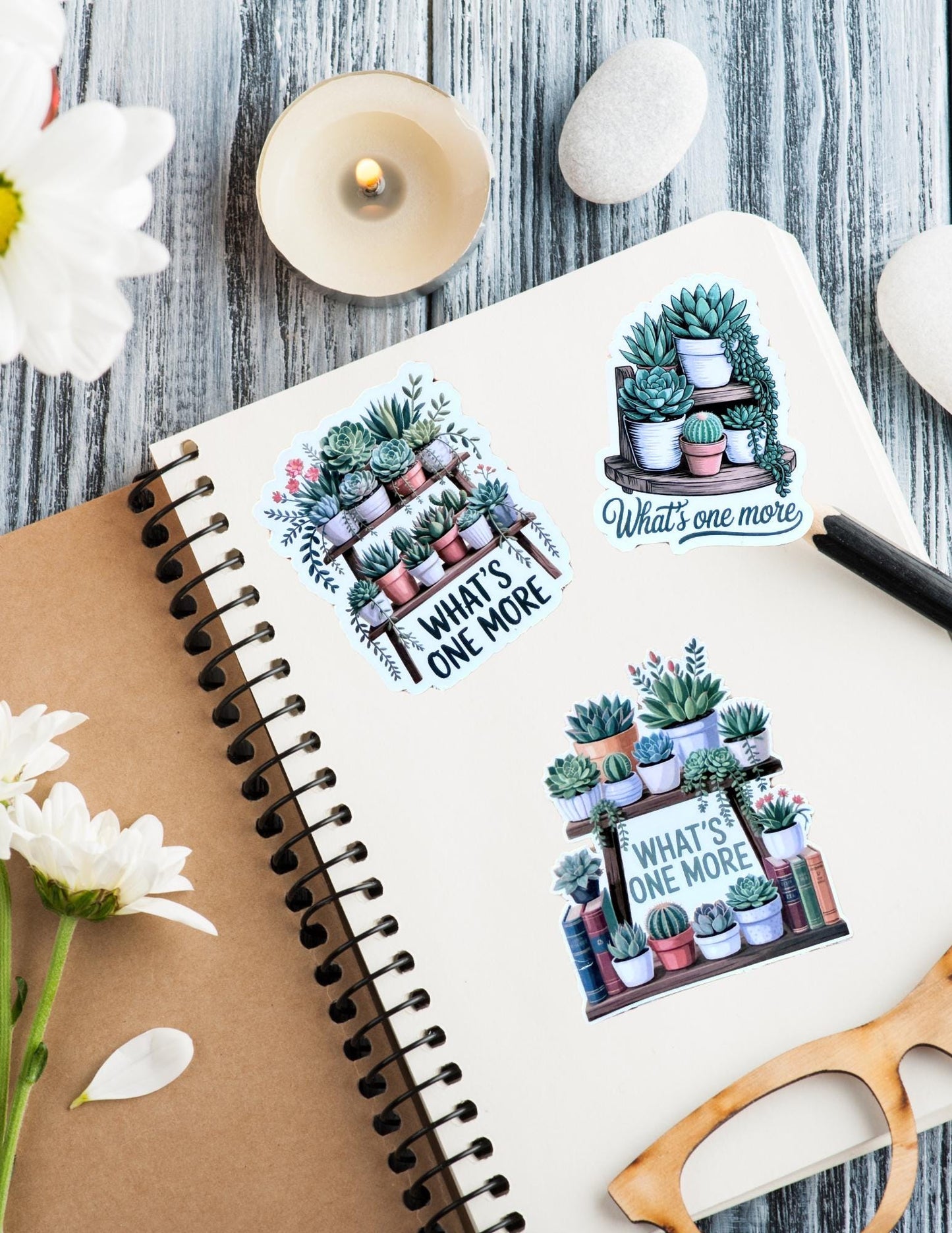 Succulent Sticker Pack – Cute Vinyl Decals for Laptops, Water Bottles & Plant Lovers - The Sticker Era