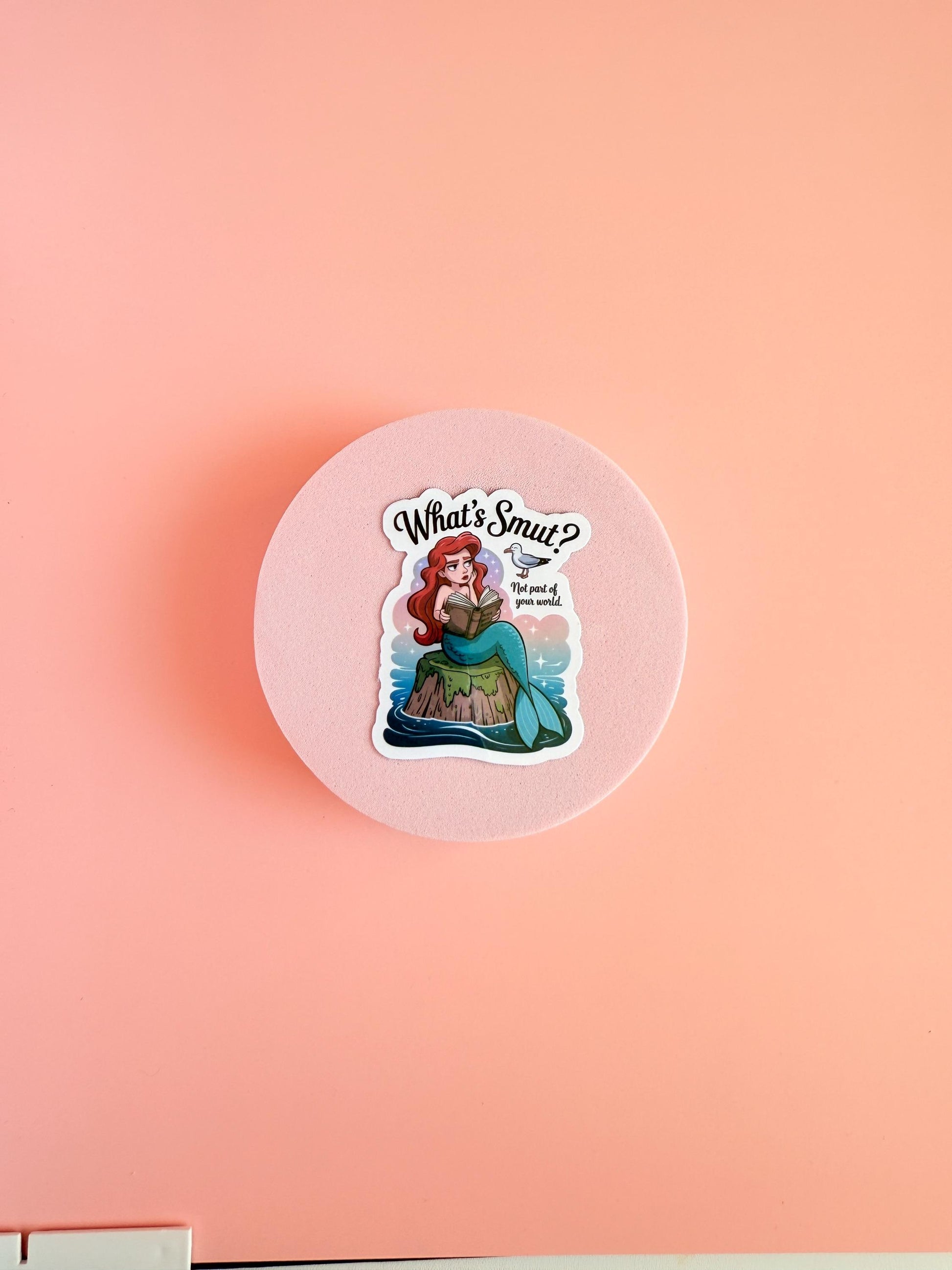 Mermaid Smut Sticker Bundle – BookTok Vinyl Sticker Pack, Spicy Reader Gift, Fantasy Romance Humor Set - The Sticker Era