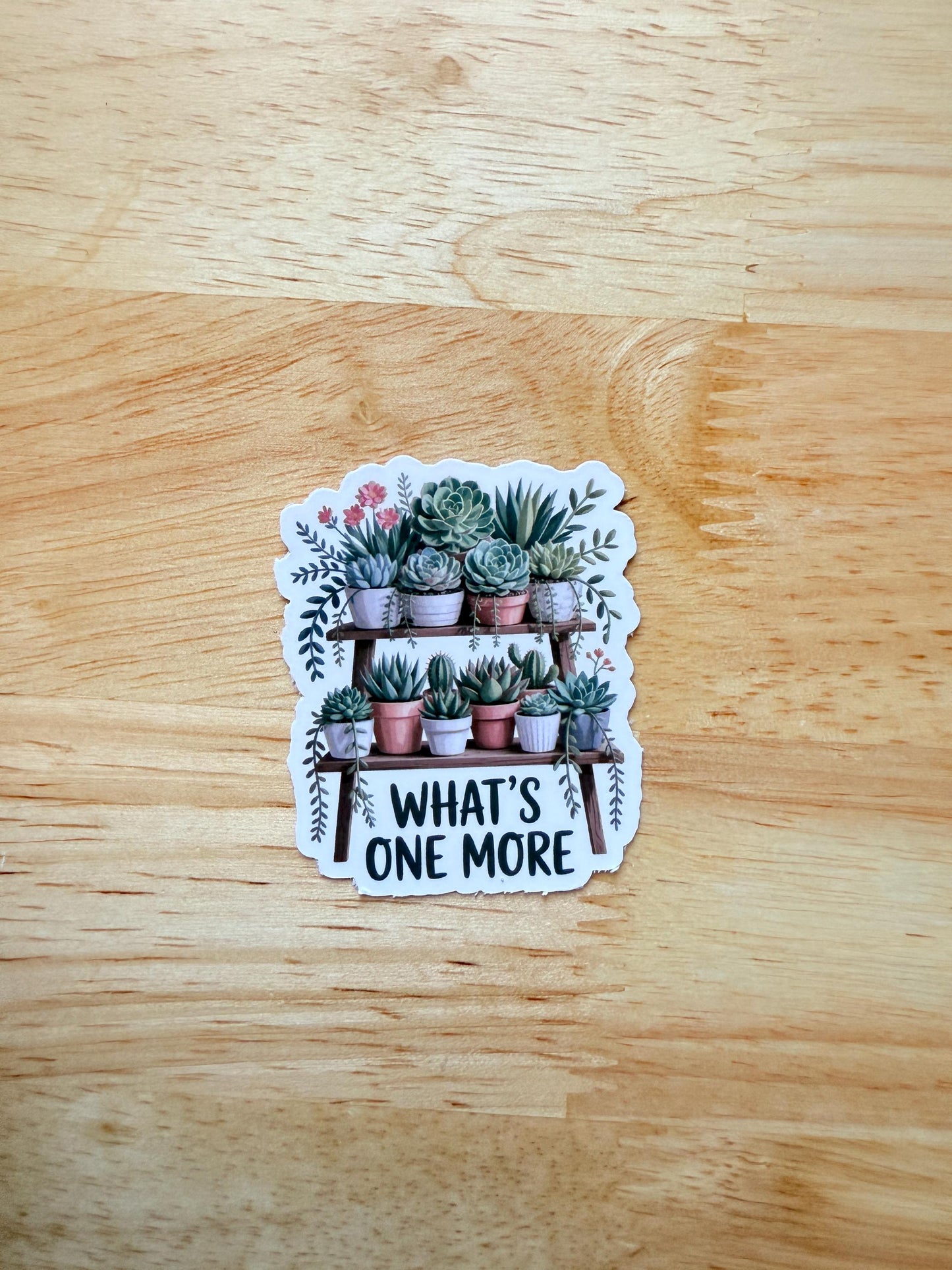 Succulent Sticker Pack – Cute Vinyl Decals for Laptops, Water Bottles & Plant Lovers - The Sticker Era