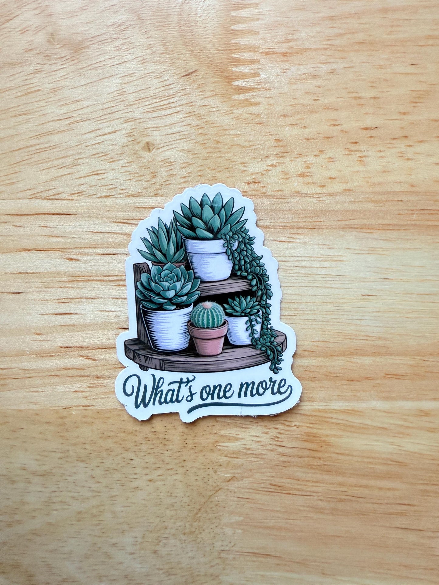 Succulent Sticker Pack – Cute Vinyl Decals for Laptops, Water Bottles & Plant Lovers - The Sticker Era