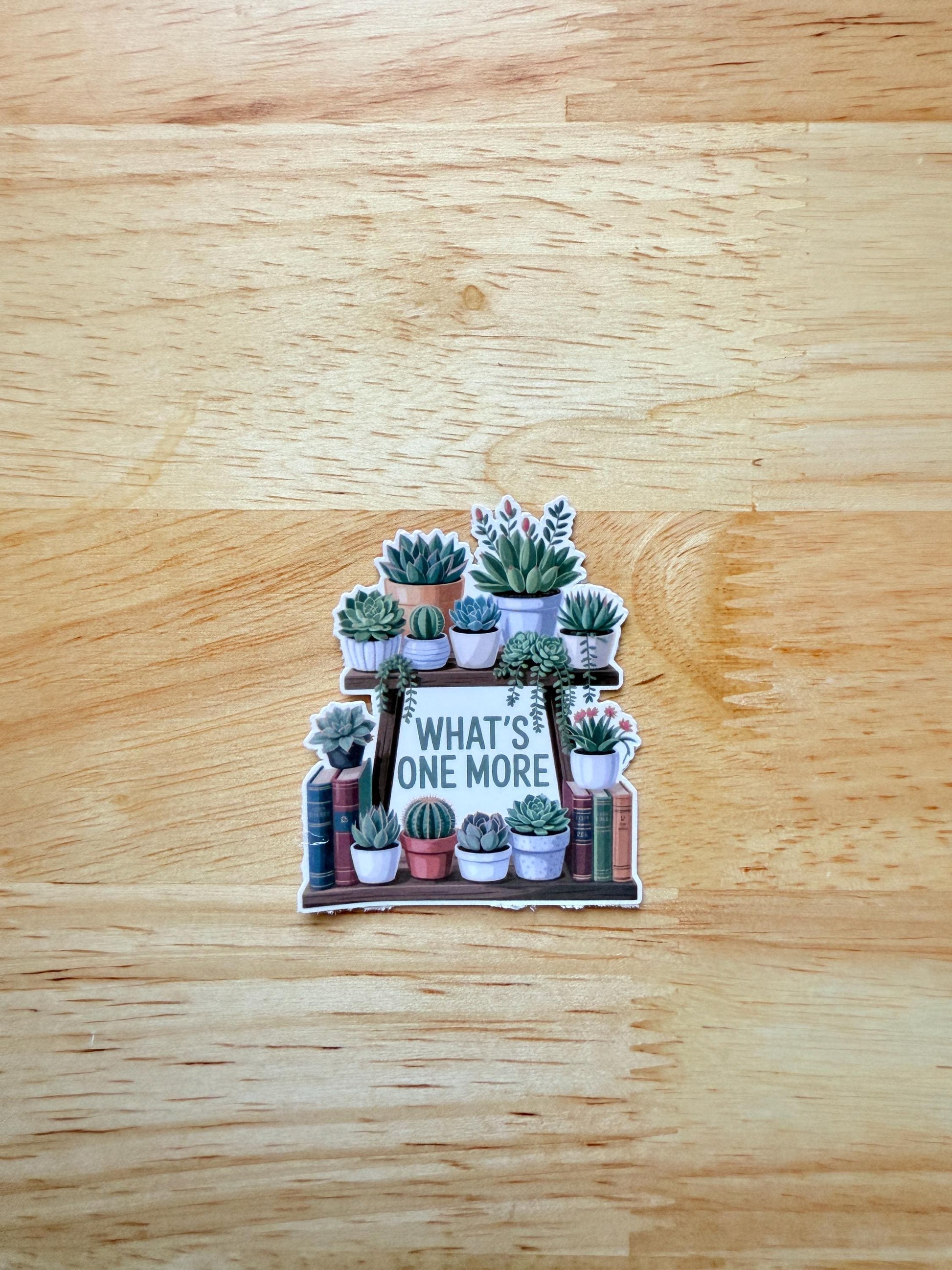 Succulent Sticker Pack – Cute Vinyl Decals for Laptops, Water Bottles & Plant Lovers - The Sticker Era