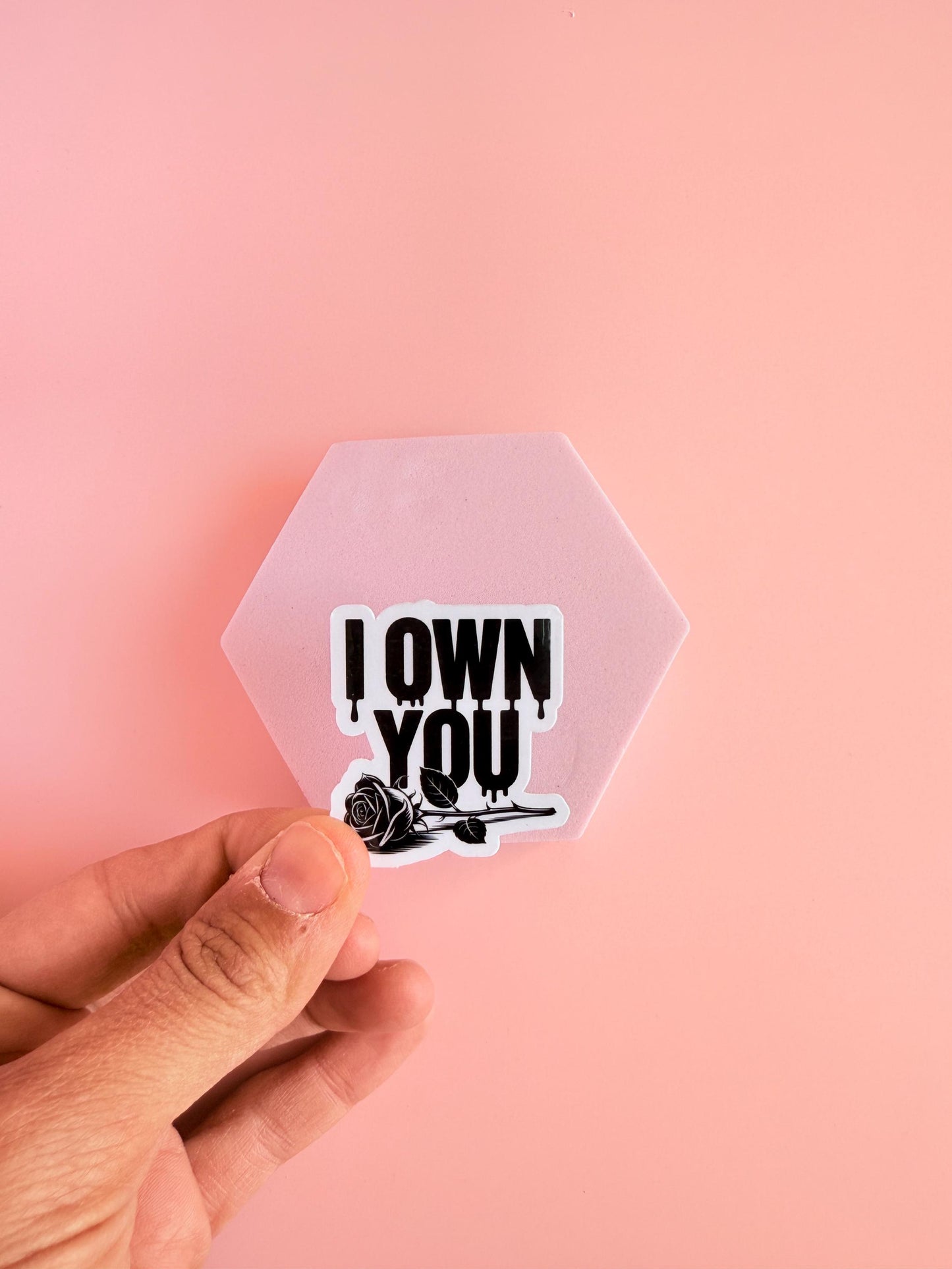 Dark Romance Sticker Pack | 10 Smutty Booktok Vinyl Stickers | Fantasy Romance Kindle Decor | Villain Era Morally Gray Reading Gift | Spicy Bookish Decals - The Sticker Era